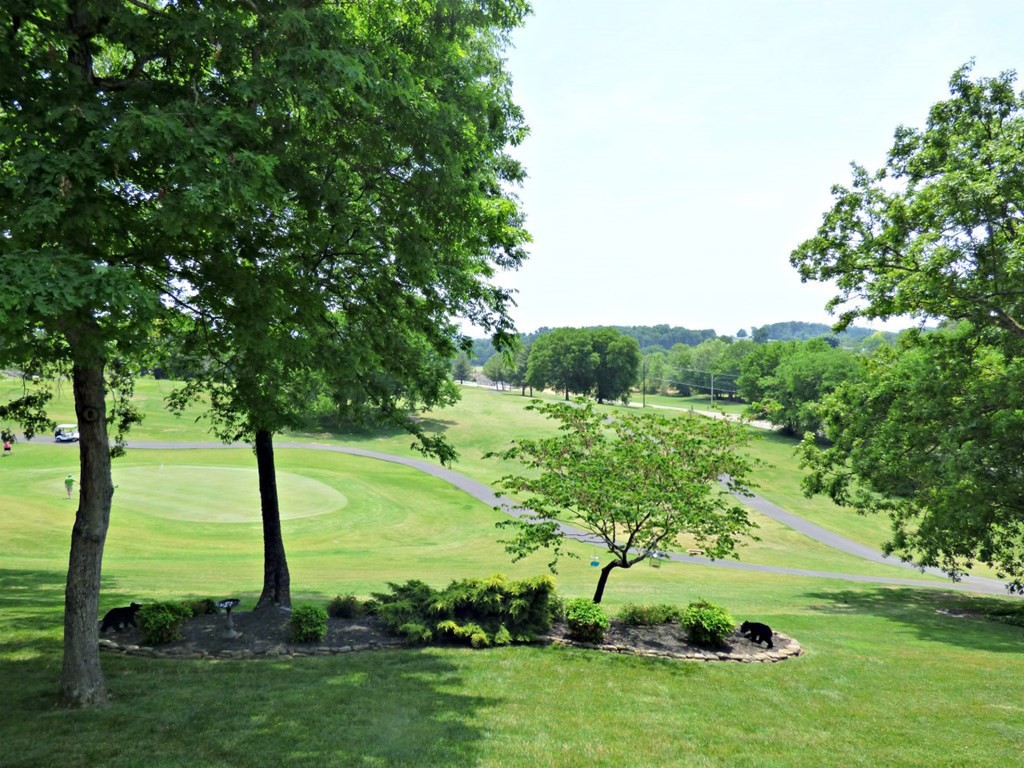 1109 Country Club Road Dandridge, TN 37725 - Photo 33 of 38 Gallery Image 33