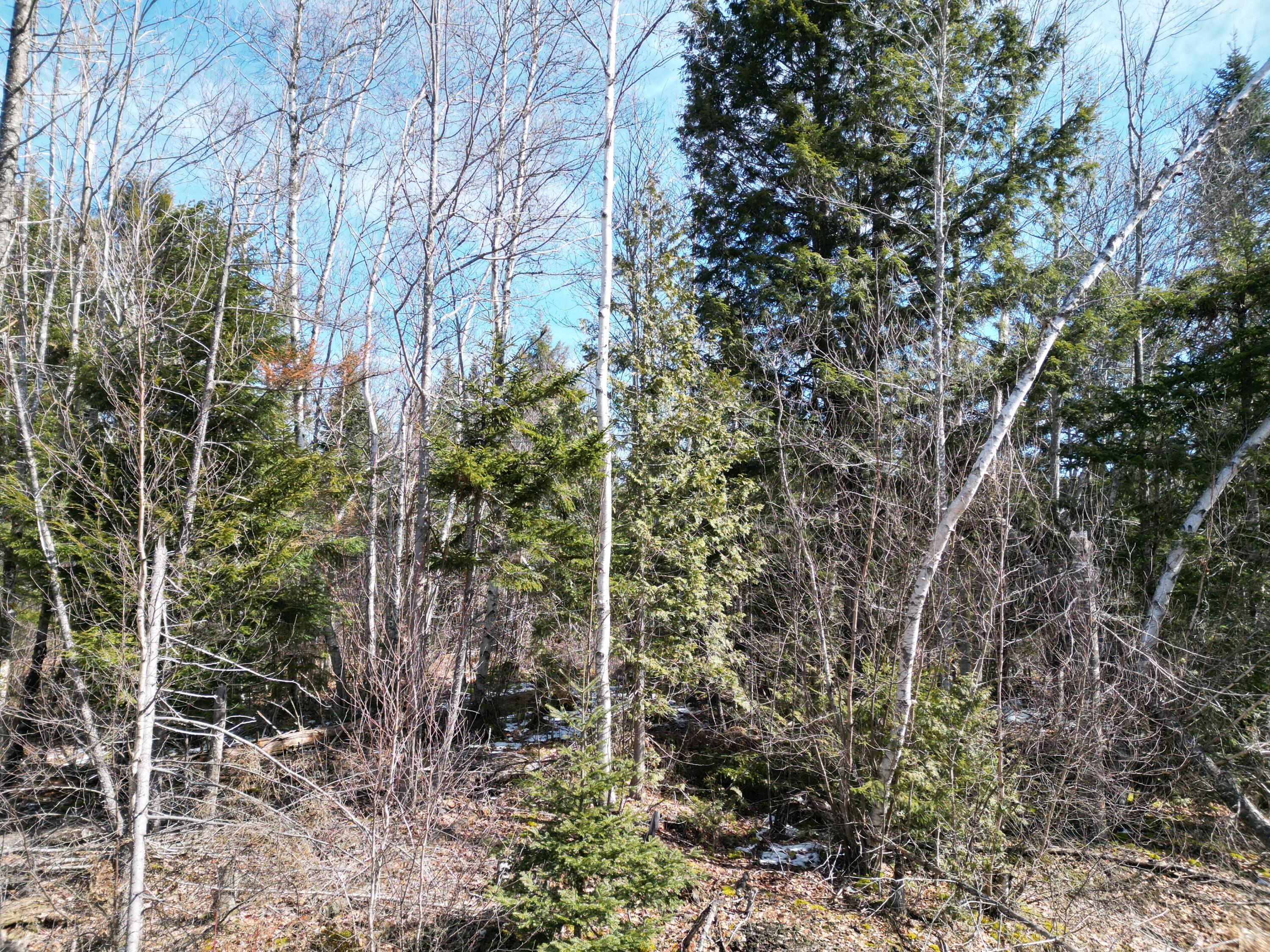 Lot 2-3 Main Road Carroll Plt, ME 04487 - Photo 1 of 16 DJI_0856