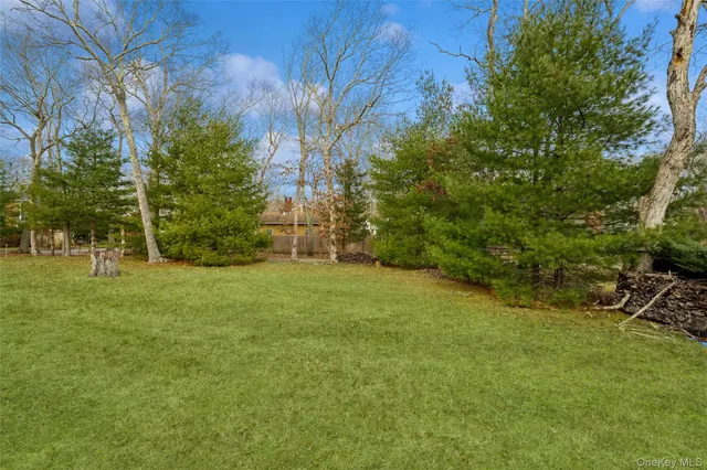 a view of a field of grass and trees