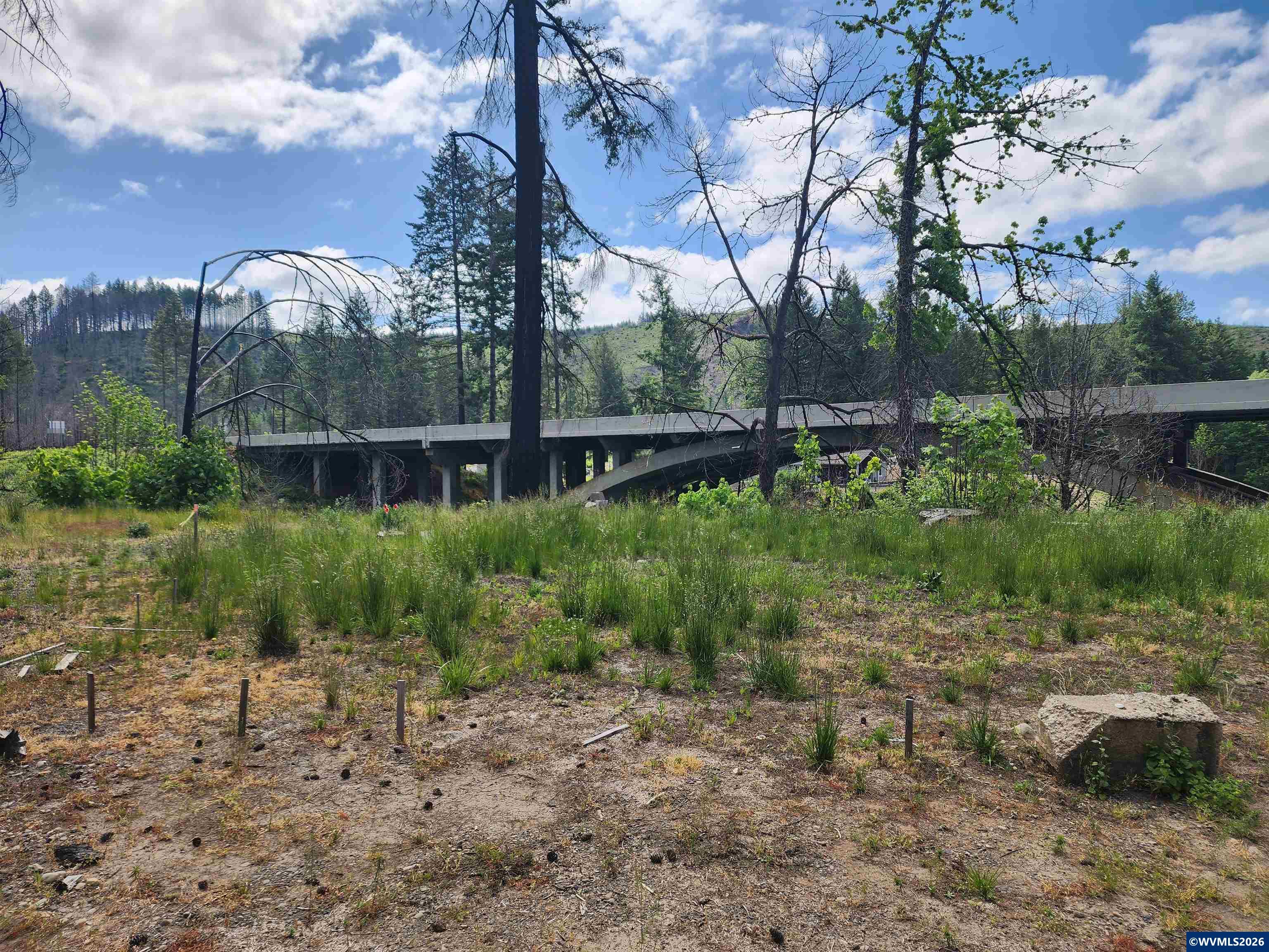 22986 North Fork Road Lyons, OR 97358 - Photo 5 of 8