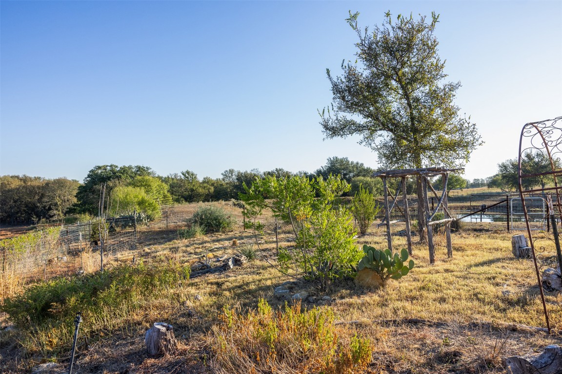 3270 Fm 671 Luling, TX 78648 - Photo 19 of 35 View of yard with a view of countryside and view of wooded area