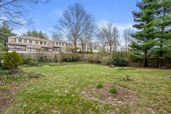 a view of a big yard with plants and large trees
