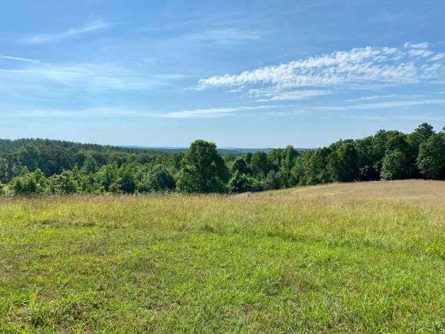 1030 Bark Road Shiloh, TN 38376 - Photo 3 of 25 Gallery Image 3
