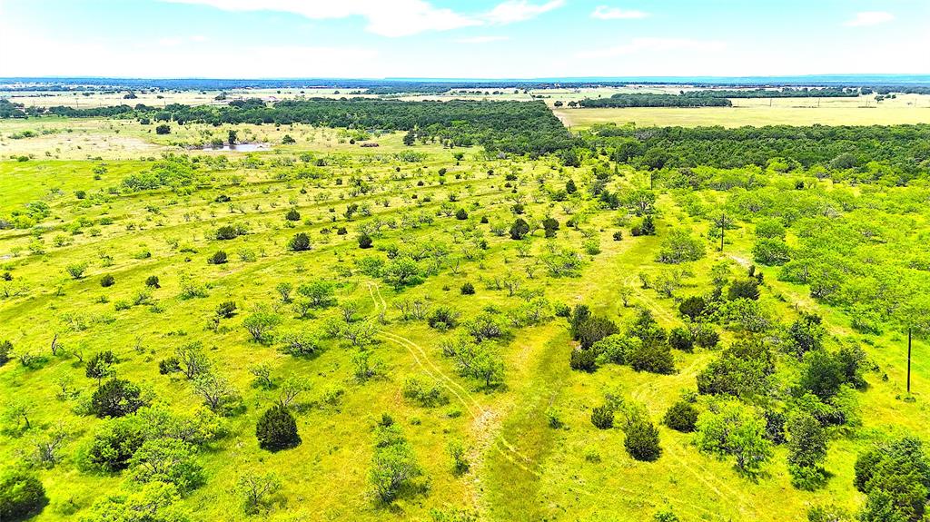 11020 Highway 281 Perrin, TX 76486 - Photo 9 of 22