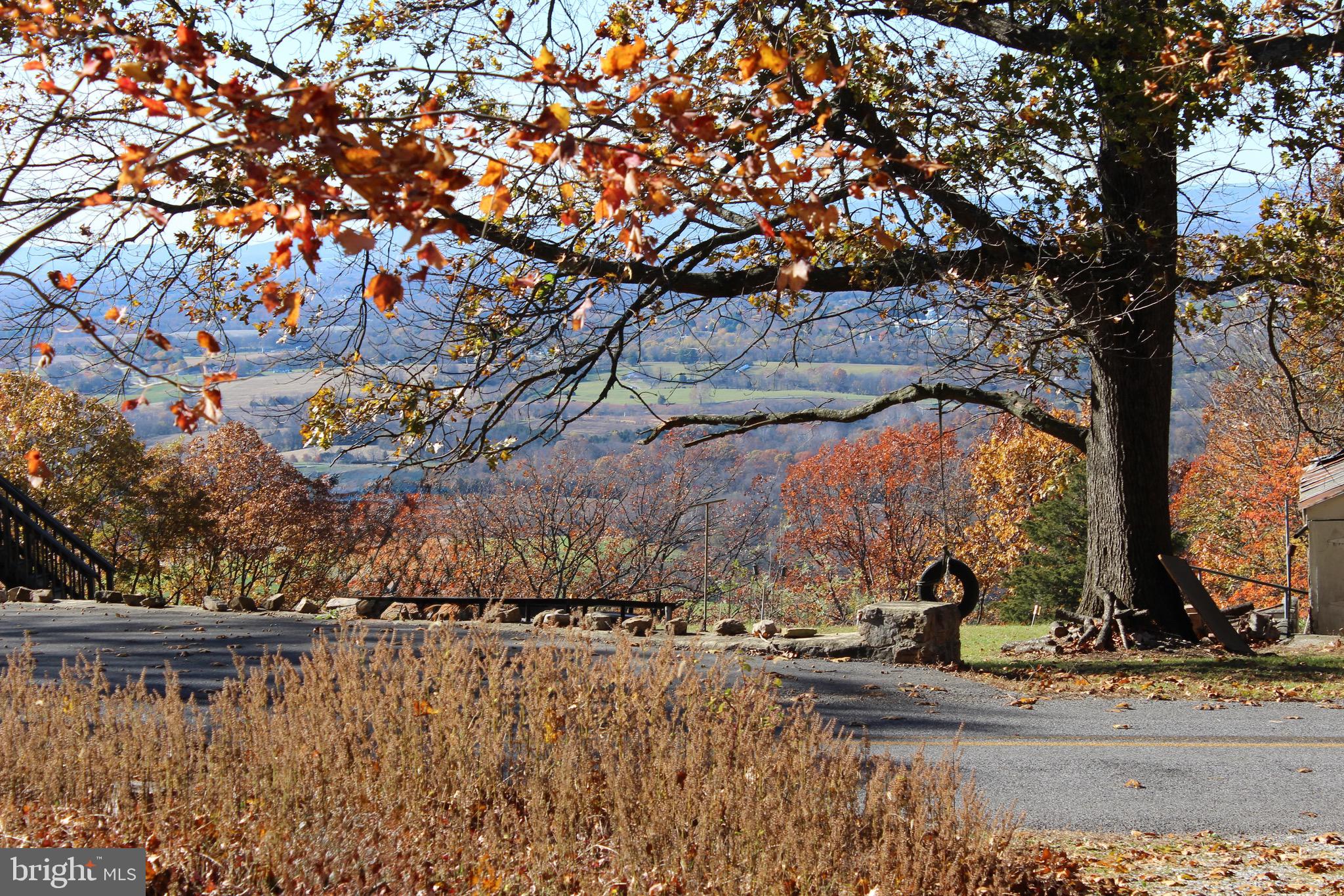 5103 Red Hill Road Keedysville, MD 21756 - Photo 12 of 78 View from the front driveway