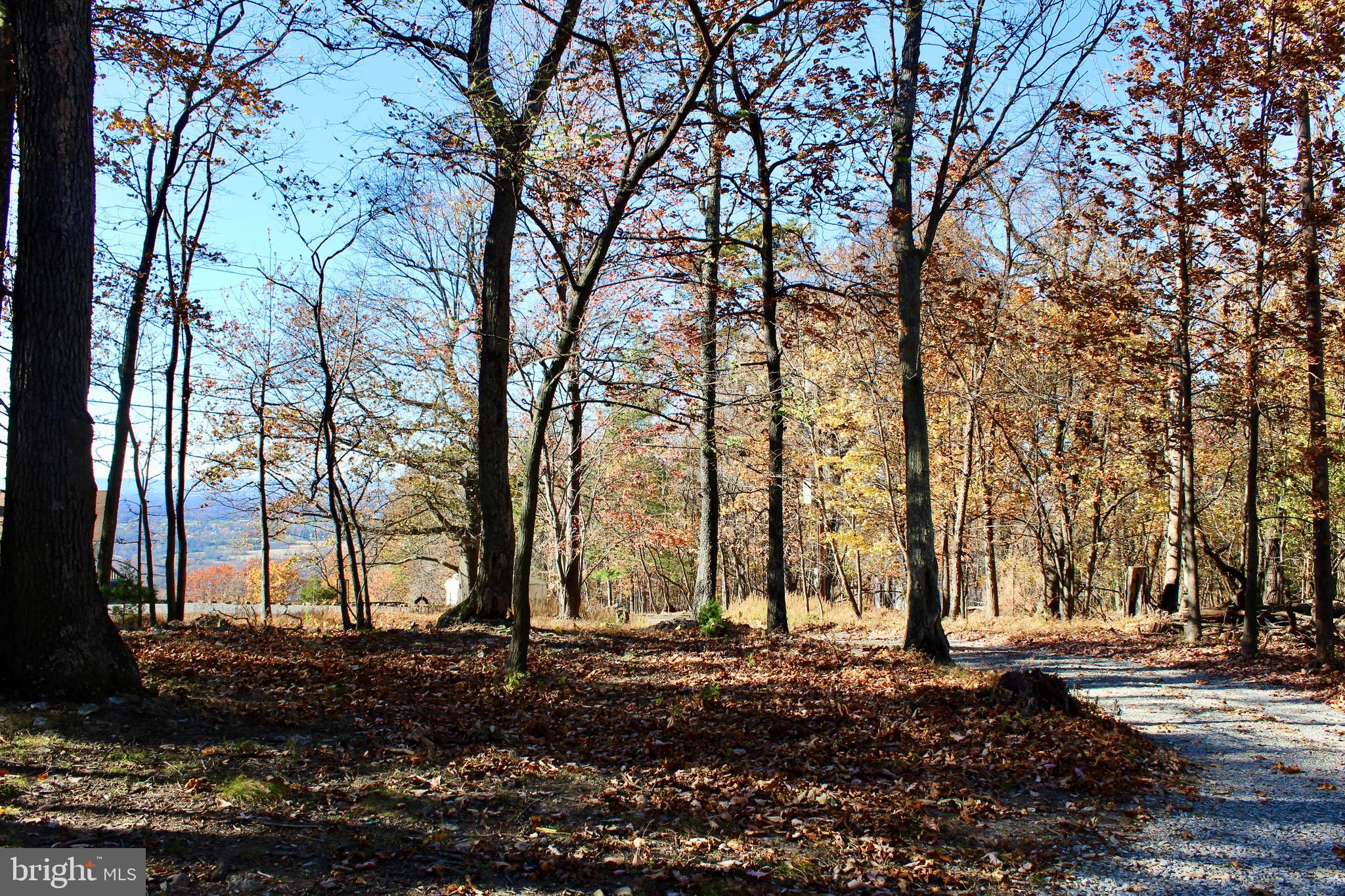 5103 Red Hill Road Keedysville, MD 21756 - Photo 12 of 78 a view of a backyard with large trees