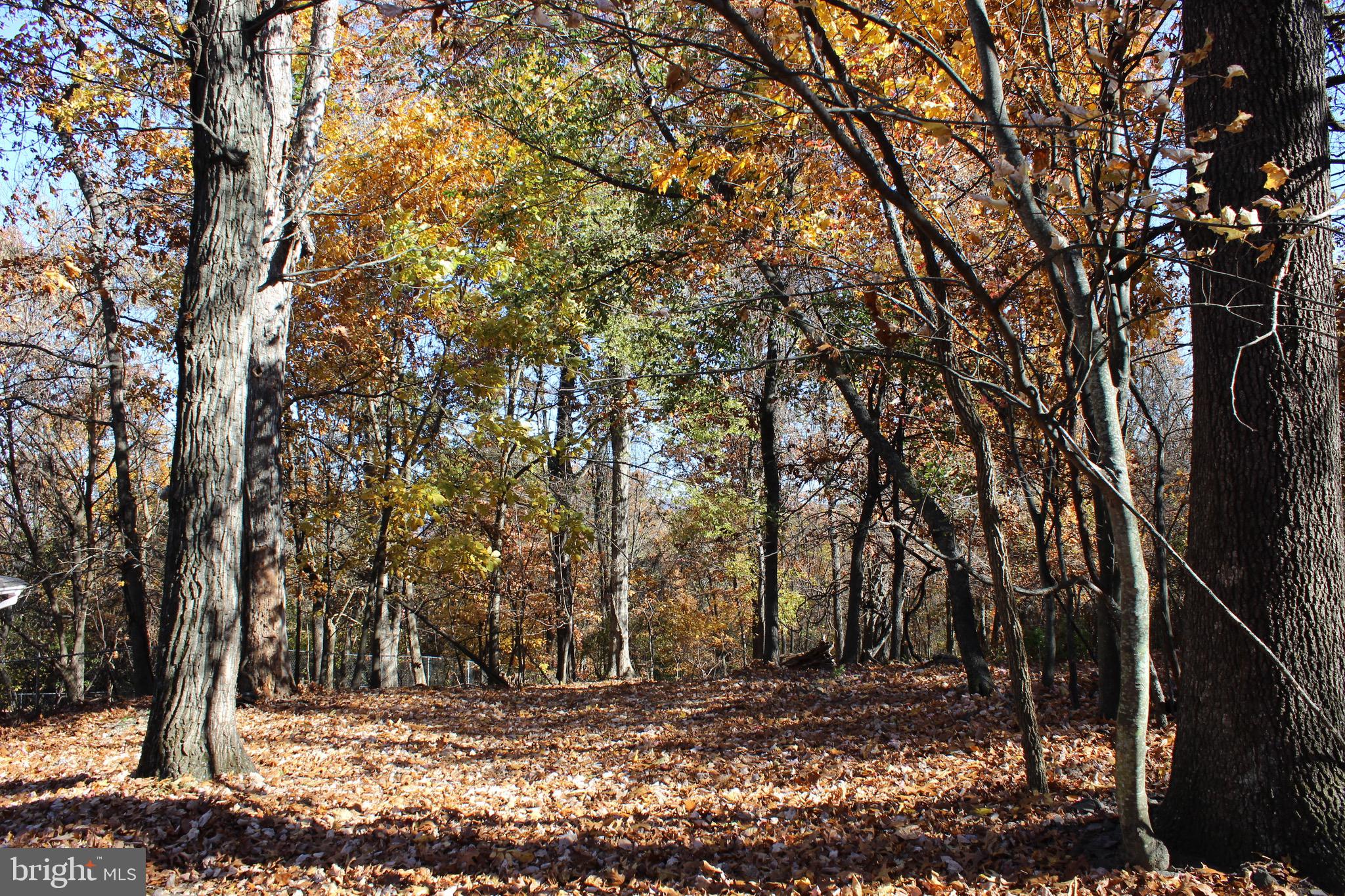 5103 Red Hill Road Keedysville, MD 21756 - Photo 13 of 78 Back yard trail