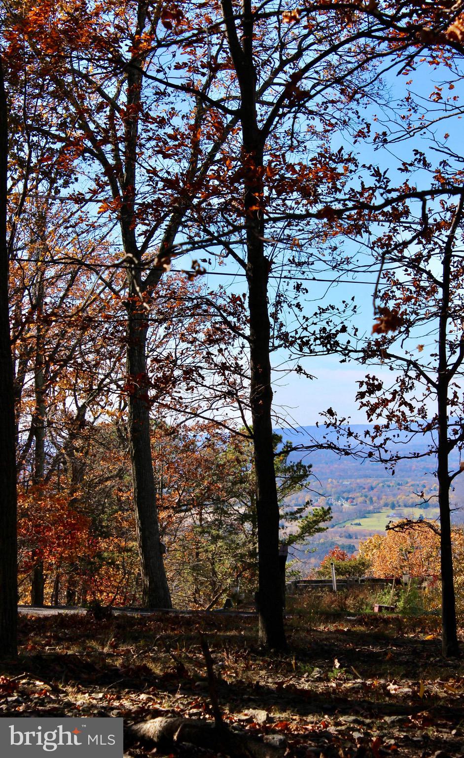 5103 Red Hill Road Keedysville, MD 21756 - Photo 14 of 78 a view of a yard with wooden fence