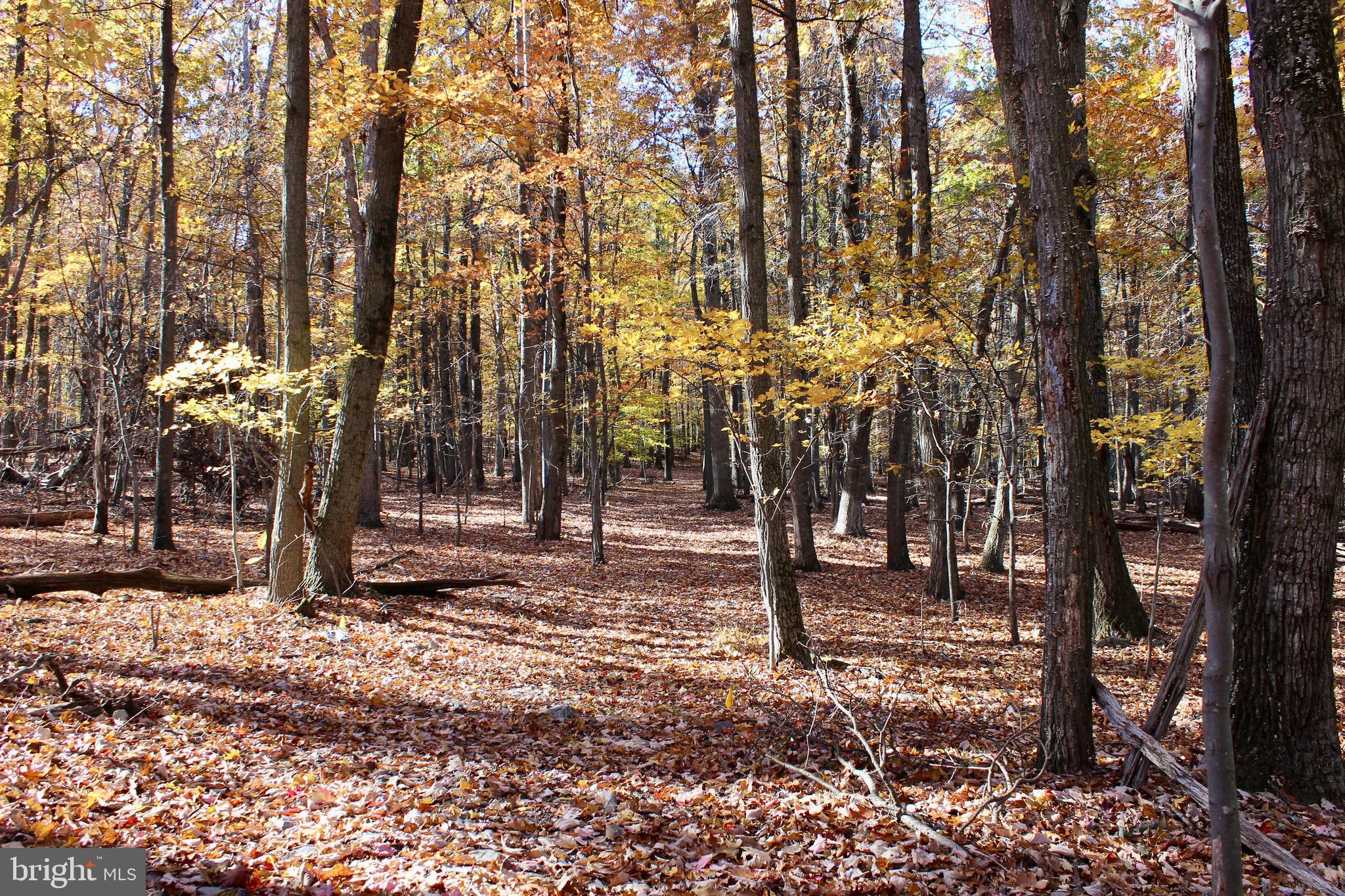 5103 Red Hill Road Keedysville, MD 21756 - Photo 15 of 78 a backyard of a house with lots of green space
