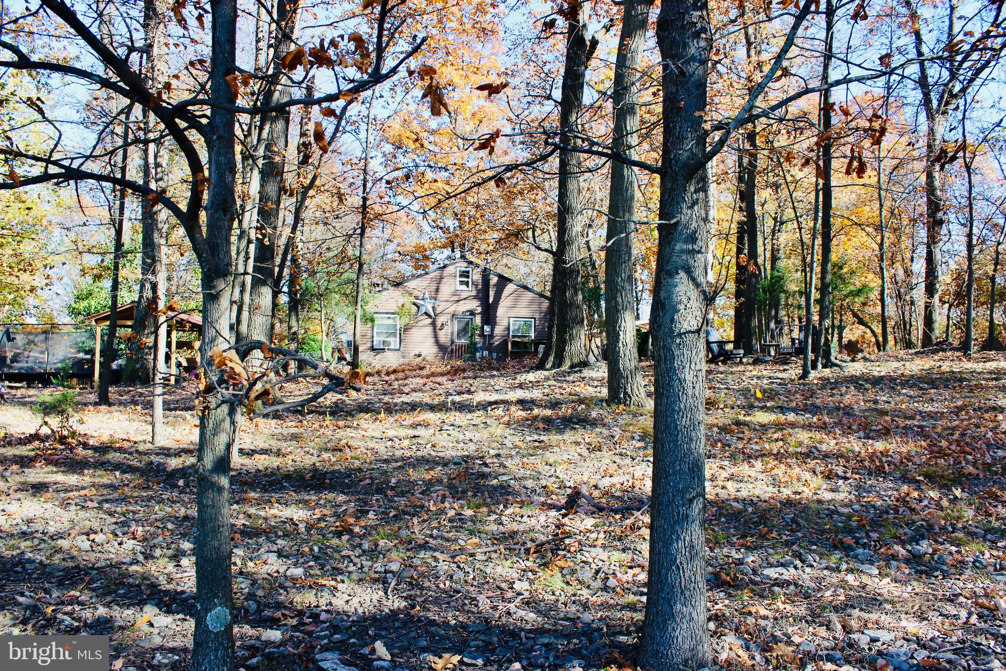 5103 Red Hill Road Keedysville, MD 21756 - Photo 2 of 78 a view of a yard covered with snow