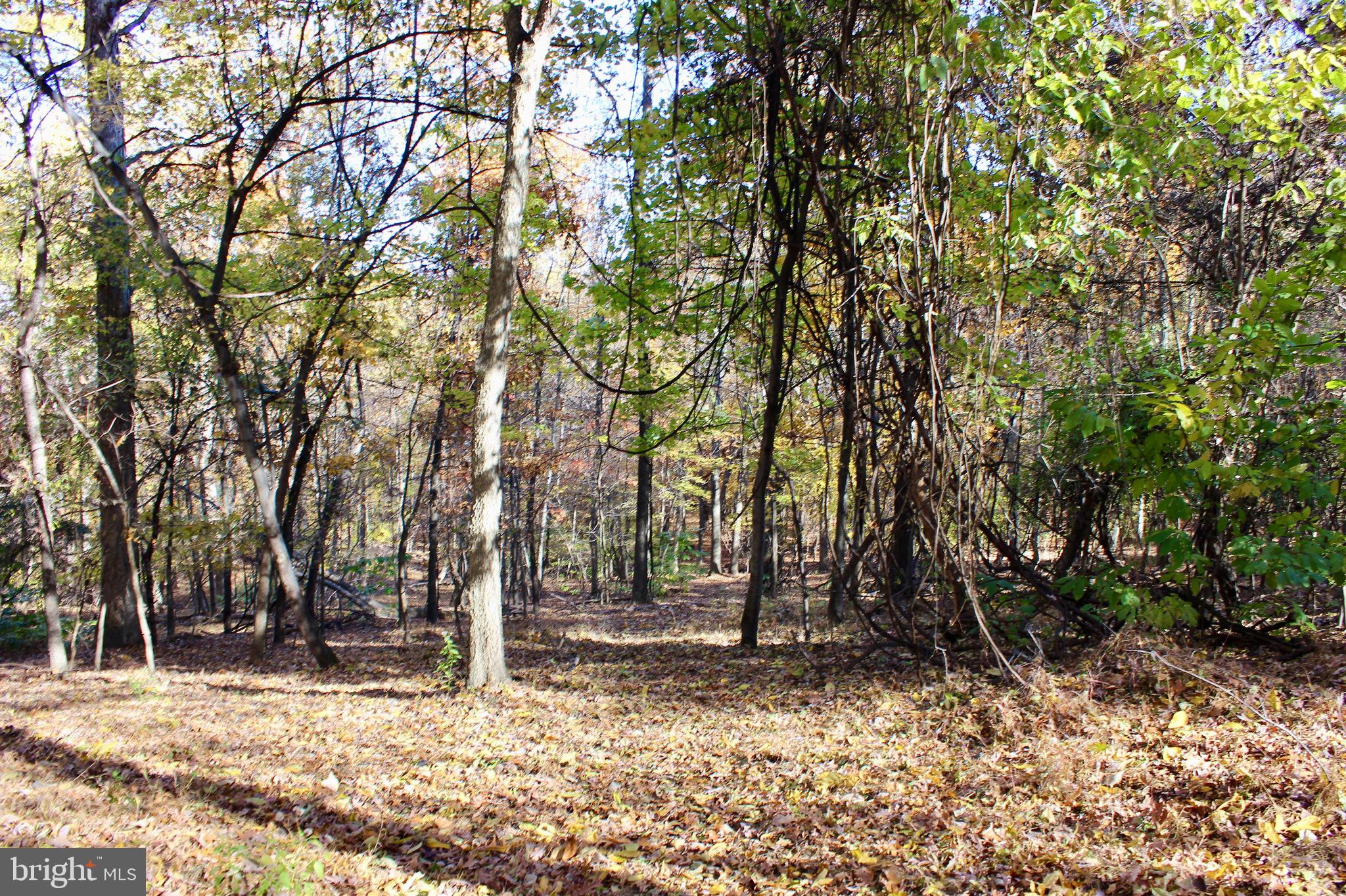 5103 Red Hill Road Keedysville, MD 21756 - Photo 52 of 78 a backyard of a house with lots of trees