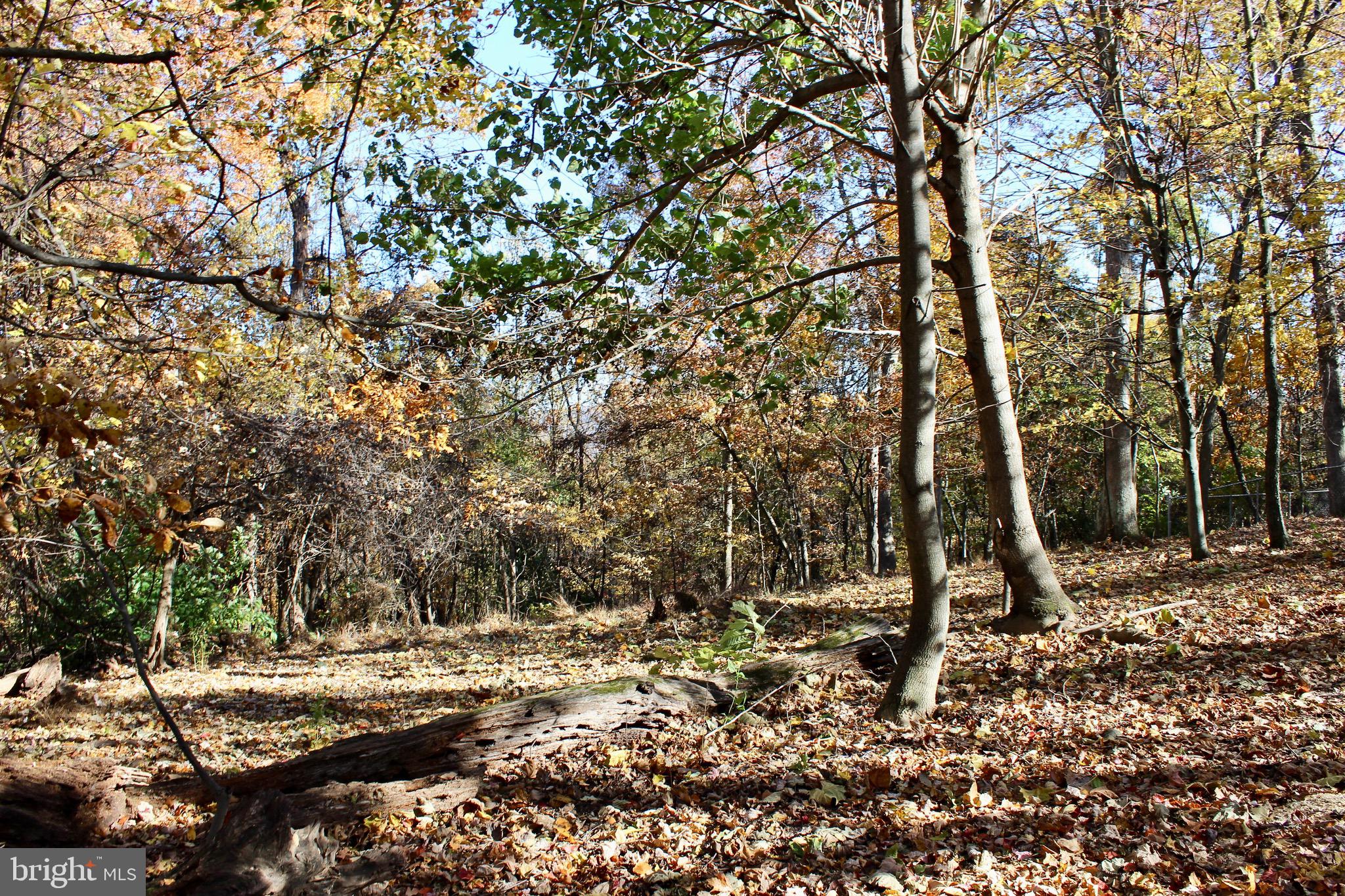 5103 Red Hill Road Keedysville, MD 21756 - Photo 53 of 78 a backyard of a house with lots of green space