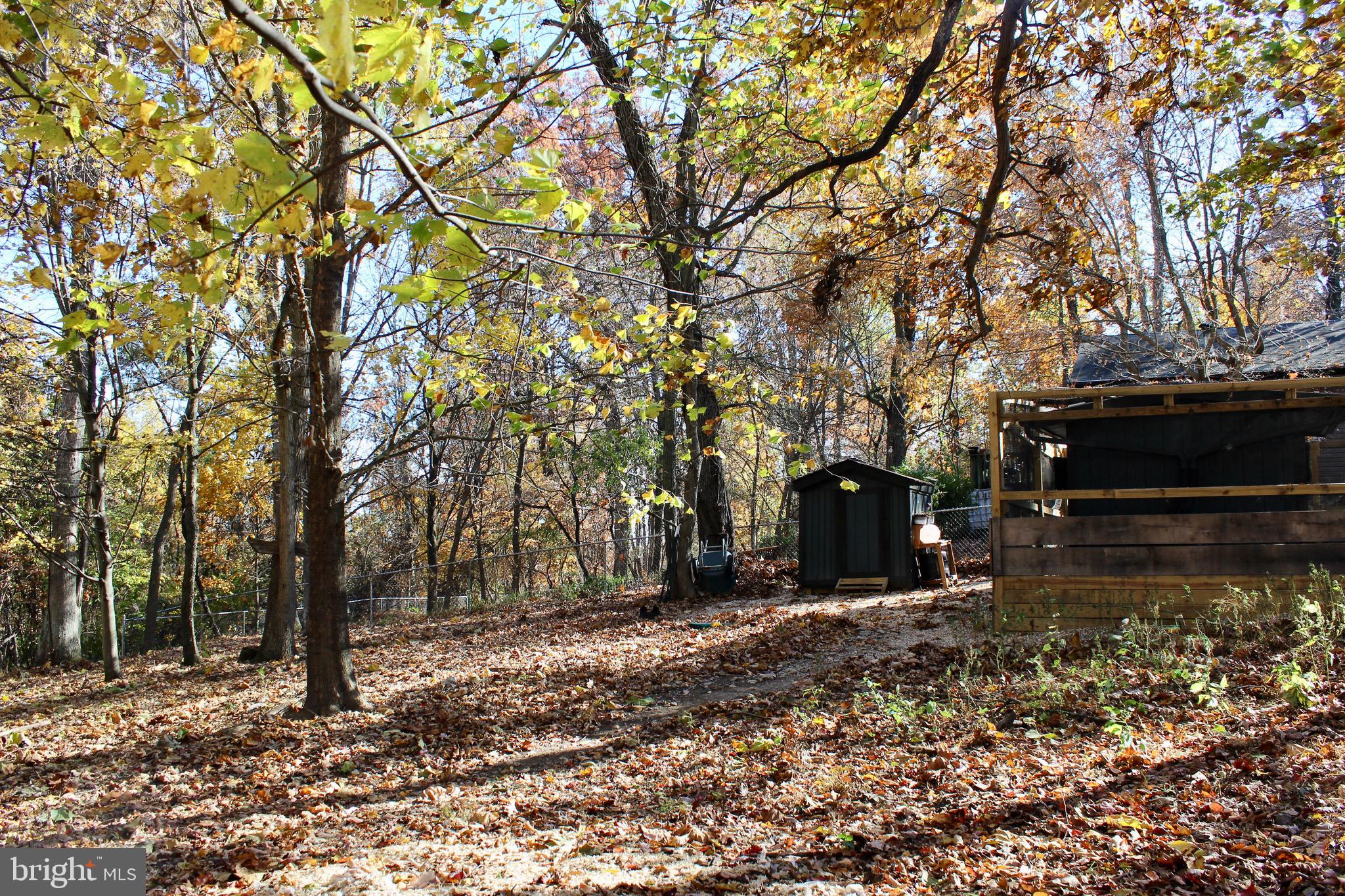5103 Red Hill Road Keedysville, MD 21756 - Photo 54 of 78 a view of a backyard with large trees