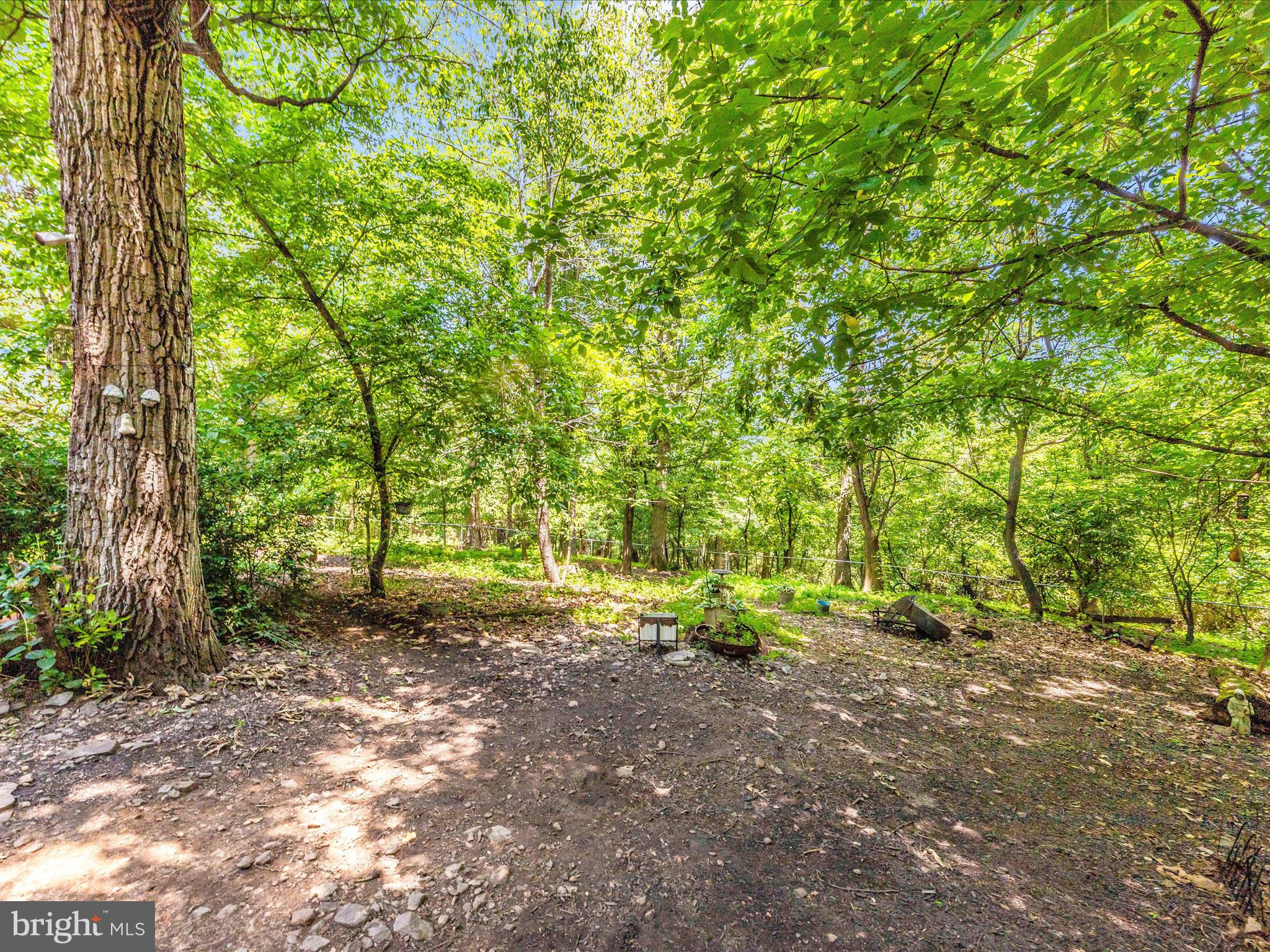 5103 Red Hill Road Keedysville, MD 21756 - Photo 61 of 78 a view of outdoor space with trees
