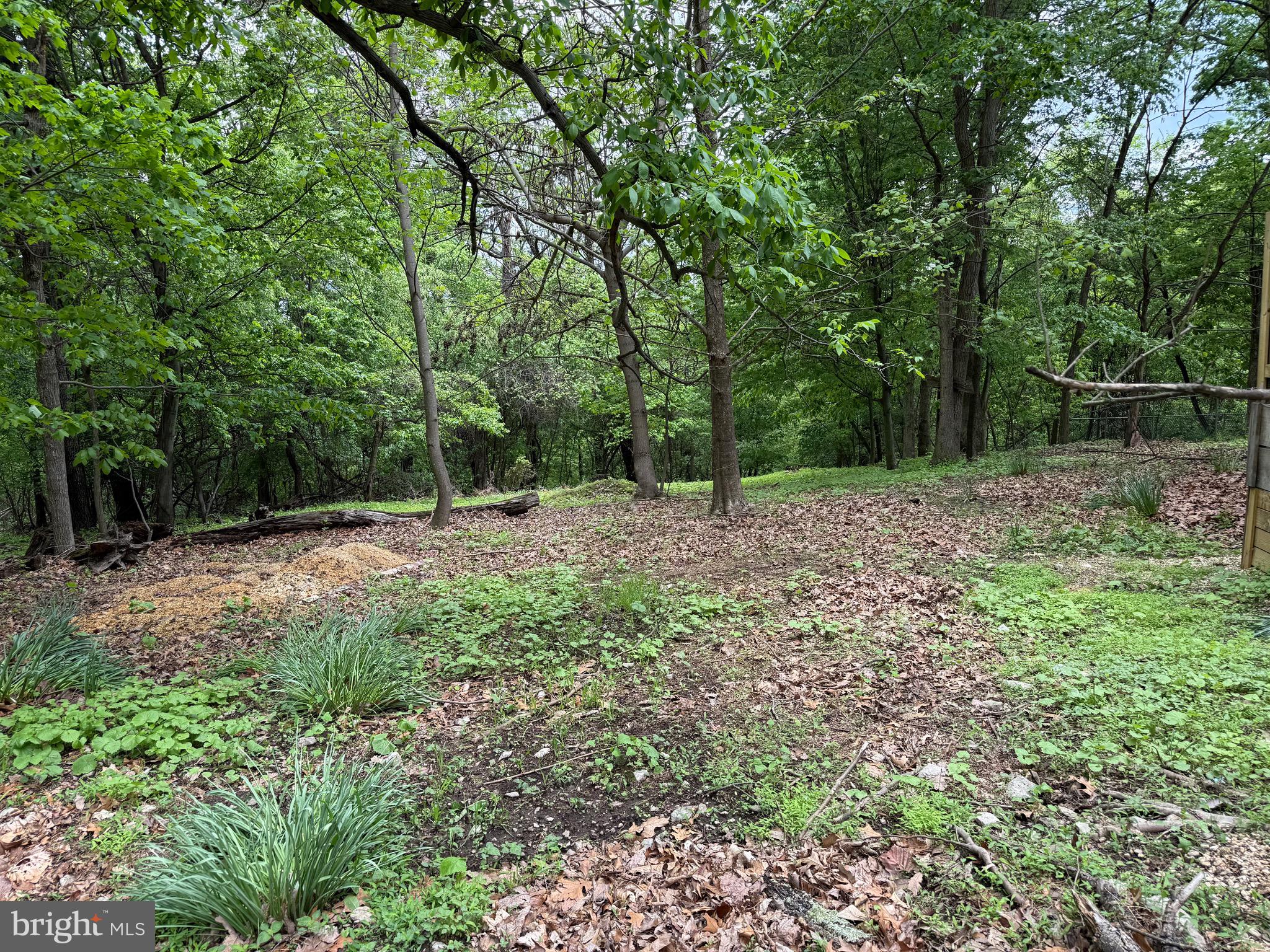 5103 Red Hill Road Keedysville, MD 21756 - Photo 68 of 78 a backyard of a house with lots of green space