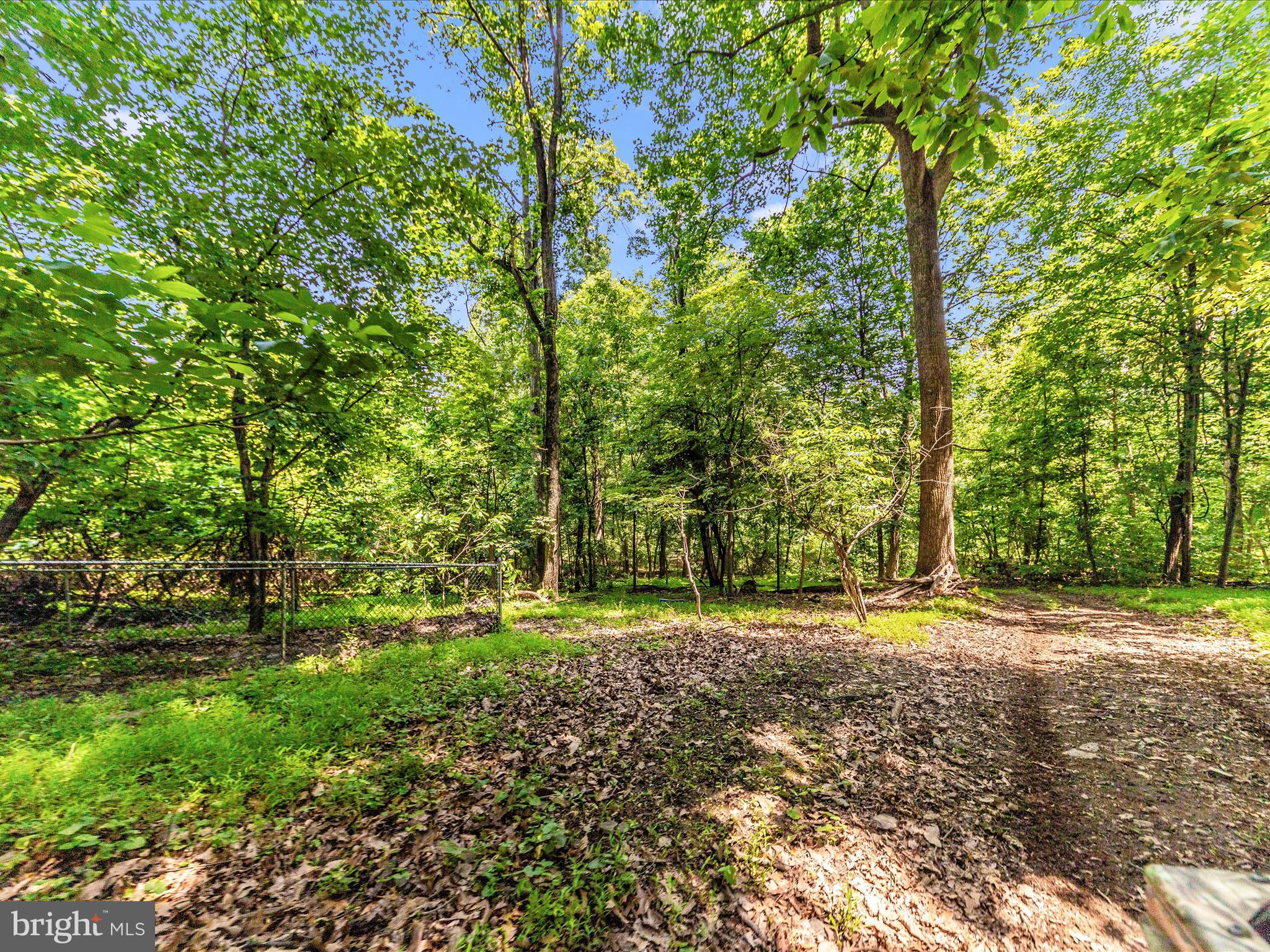 5103 Red Hill Road Keedysville, MD 21756 - Photo 75 of 78 a backyard of a house with lots of green space