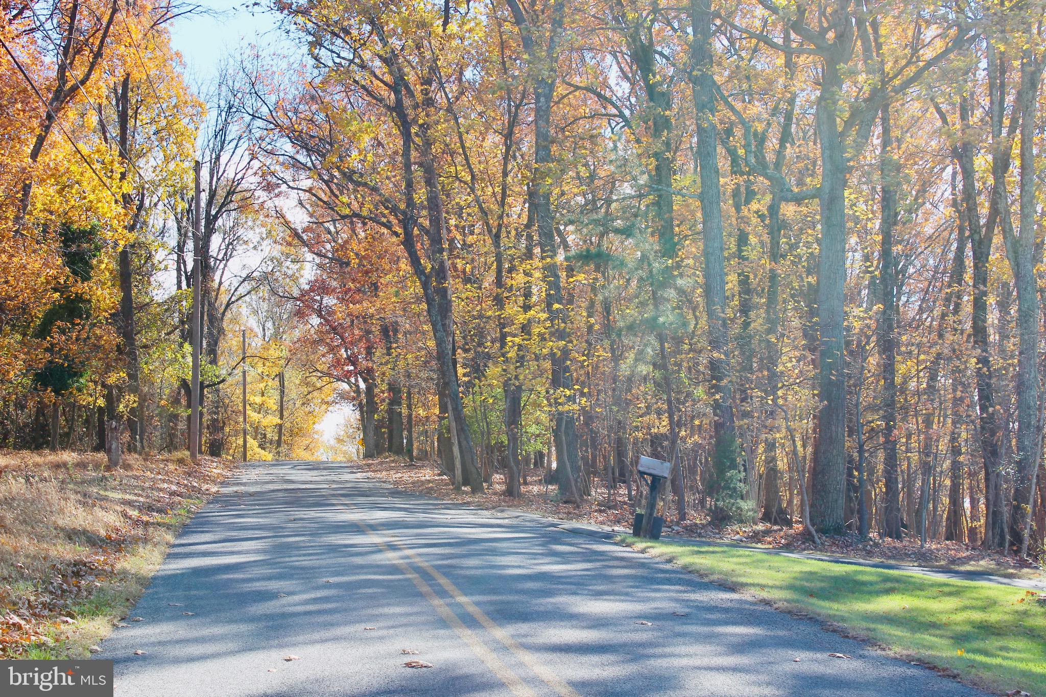 5103 Red Hill Road Keedysville, MD 21756 - Photo 9 of 78 Road in front of house