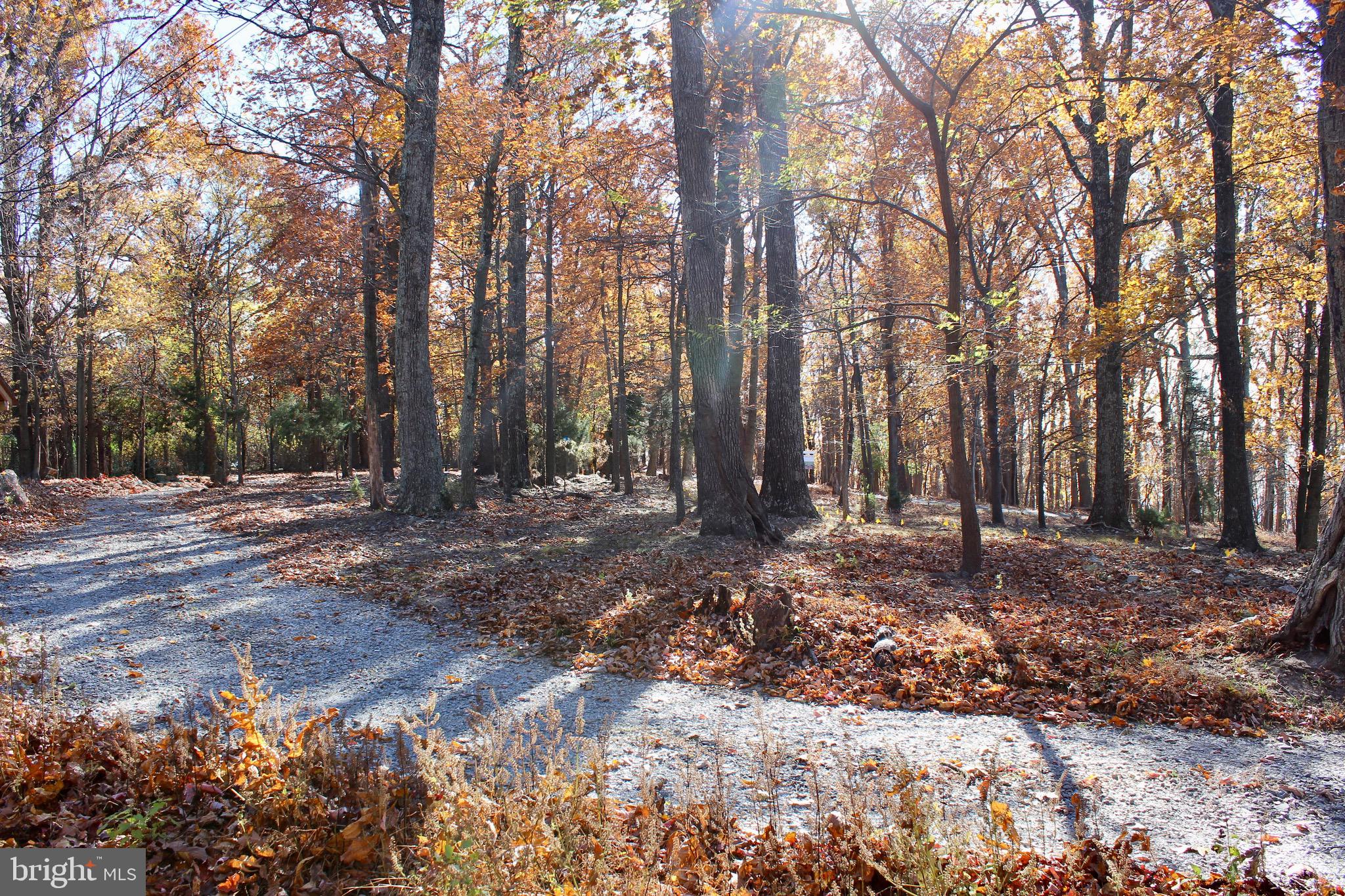 5103 Red Hill Road Keedysville, MD 21756 - Photo 10 of 78 a backyard of a house with lots of green space