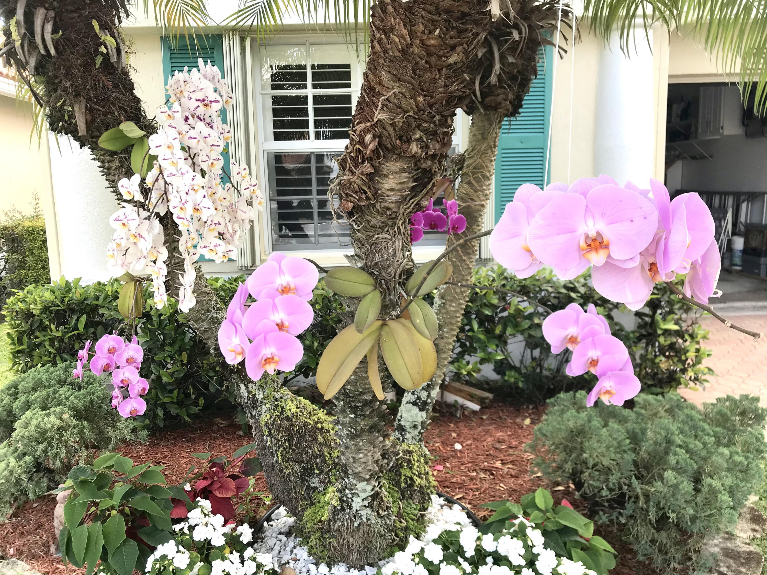15427 Floral Club Road Delray Beach, FL 33484 - Photo 22 of 31 IMG_0155