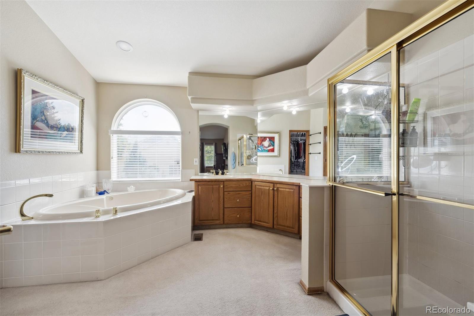 9793 Cypress Point Circle Lone Tree, CO 80124 - Photo 20 of 39