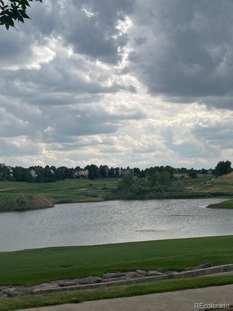 9793 Cypress Point Circle Lone Tree, CO 80124 - Photo 35 of 39