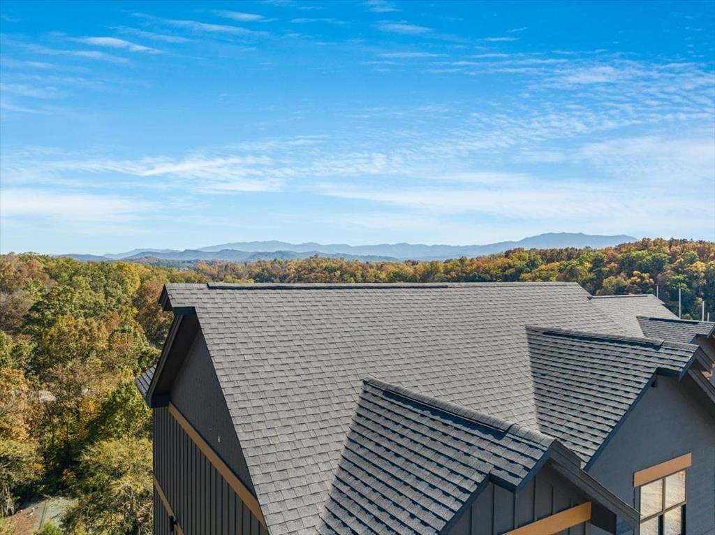 288 Rambling Creek Way, Unit LOT 79R Sevierville, TN 37862 - Photo 3 of 40 a view of a terrace with skyline