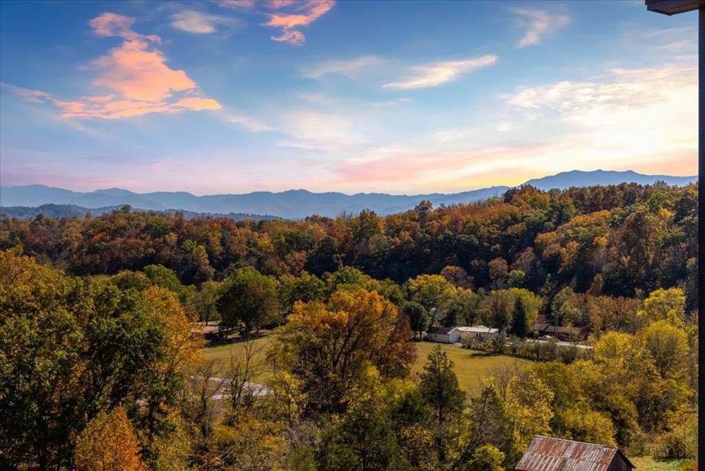 288 Rambling Creek Way, Unit LOT 79R Sevierville, TN 37862 - Photo 39 of 40 a view of a town with mountains in the background