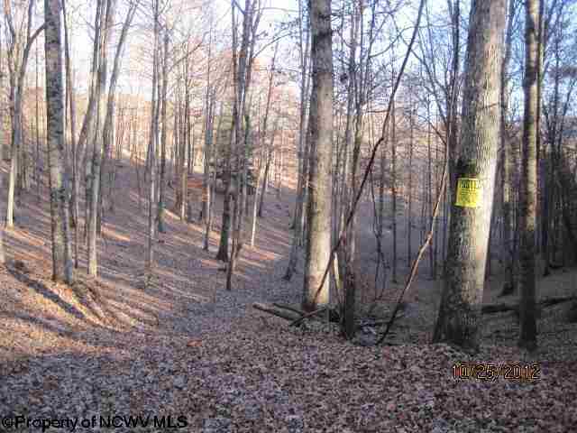 0 Georgetown Road Belington, WV 26250 - Photo 14 of 18 Gallery Image 14