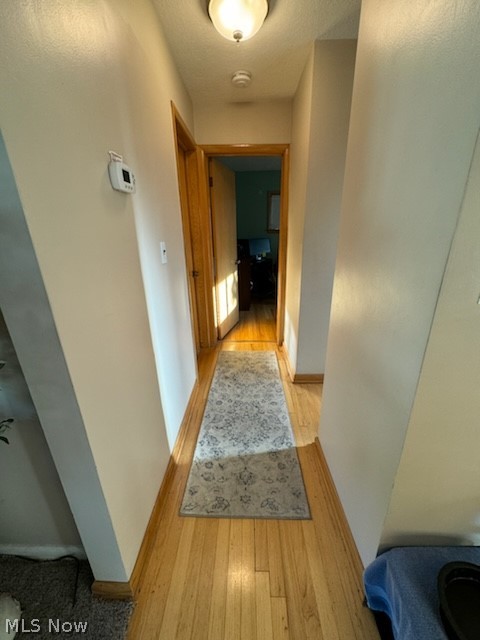 1559 Chelmsford Road Cleveland, OH 44124 - Photo 11 of 29 Hallway with light wood-type flooring