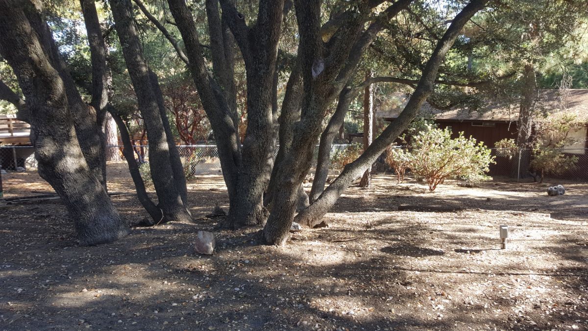 25260 Marion Ridge Drive Idyllwild, CA 92549 - Photo 32 of 32 Out doors yard