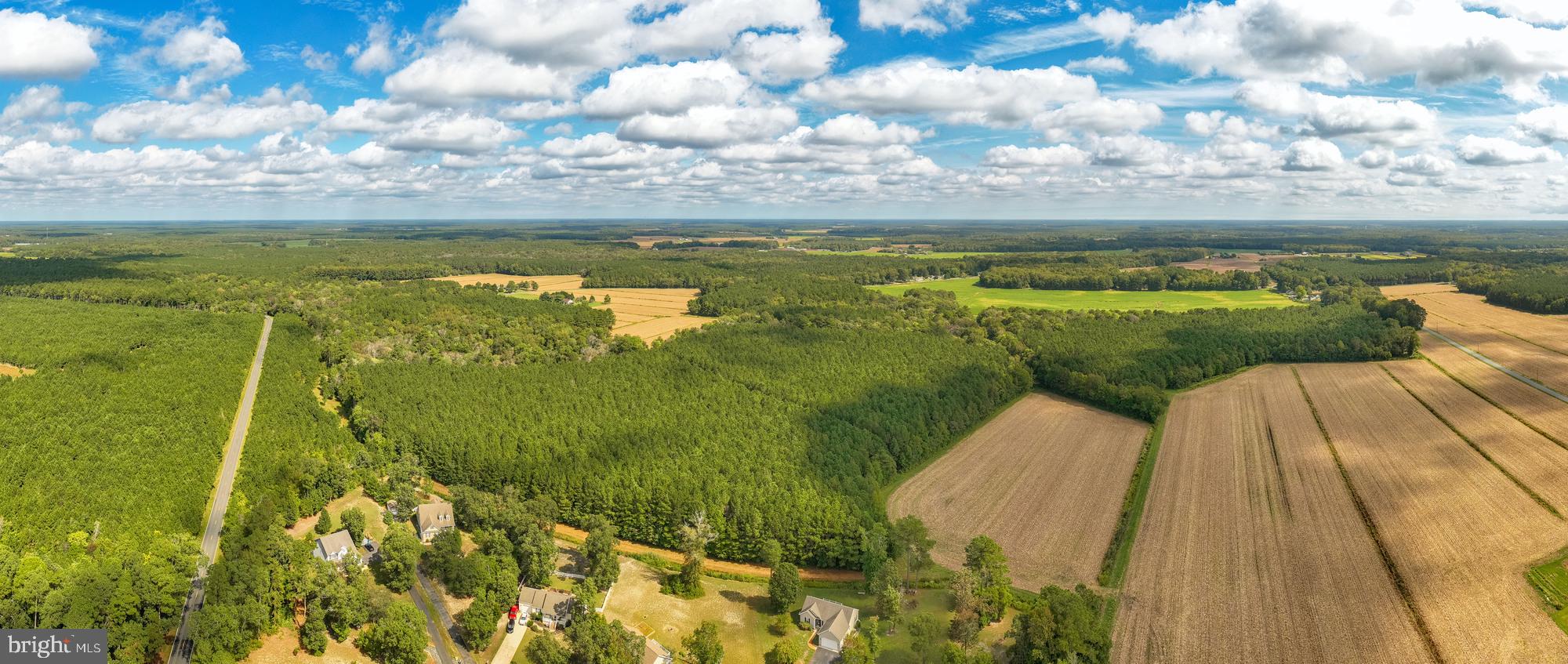 0 Bob Smith Road Delmar, MD 21875 - Photo 3 of 13