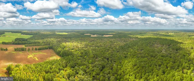 $540,515 | 0 Bob Smith Road, Delmar, MD 21875