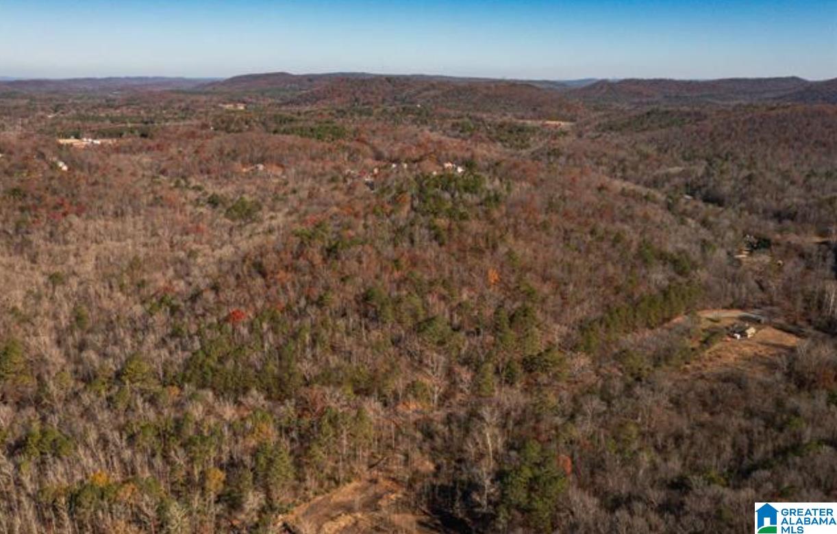 7180 Faucett Cut-Off Road, Unit 7180 Pinson, AL 35126 - Photo 5 of 8