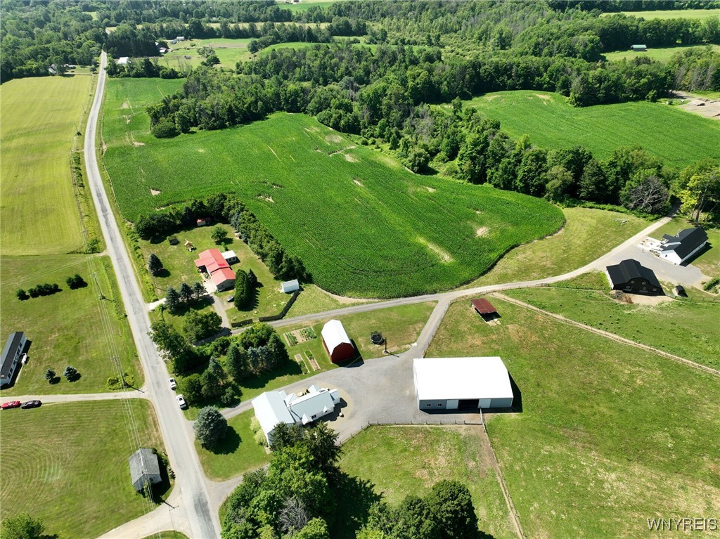 11781 Lapp Road Hume, NY 14735 - Photo 48 of 50