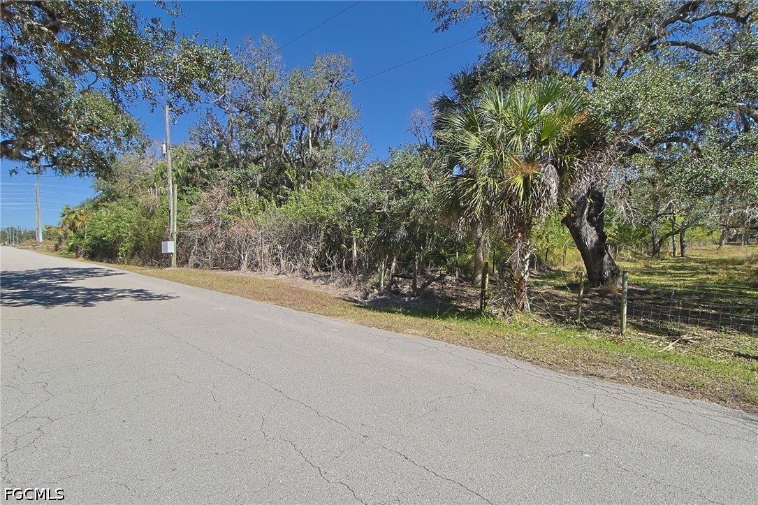 2975 Styles Road Alva, FL 33920 - Photo 3 of 5