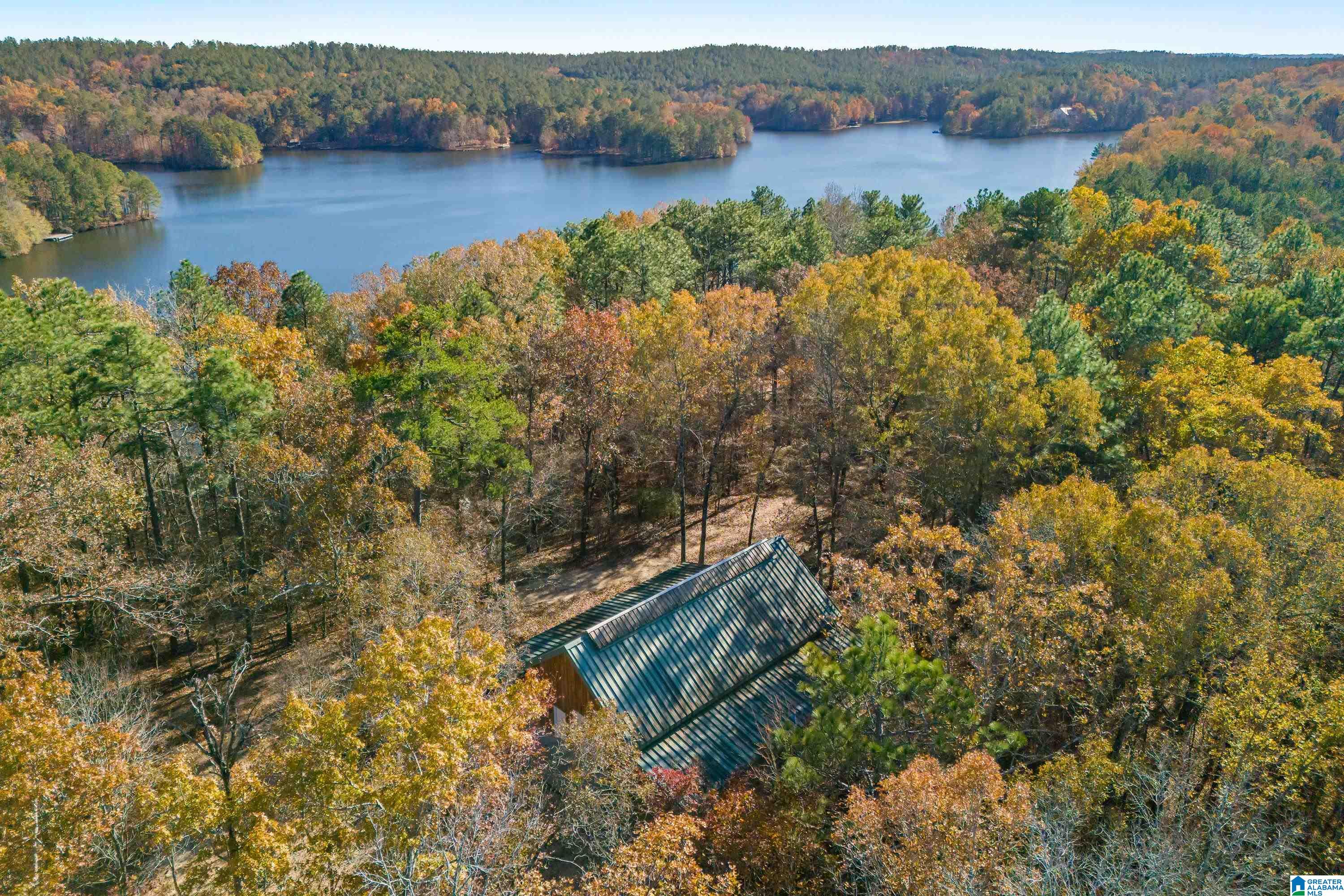 0 Pumpkin Hollow Road Sterrett, AL 35147 - Photo 23 of 55