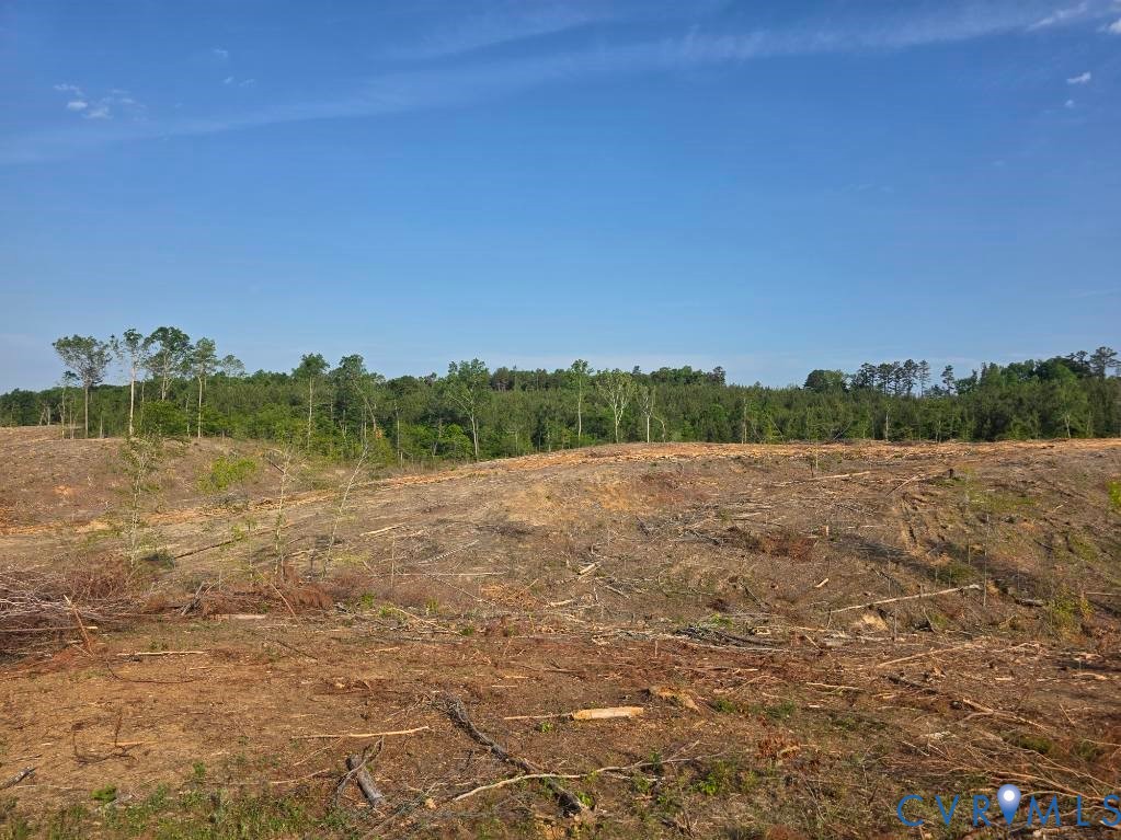 5367 Lunenburg County Road Keysville, VA 23947 - Photo 5 of 8