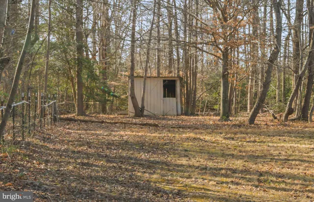a view of a backyard with large trees