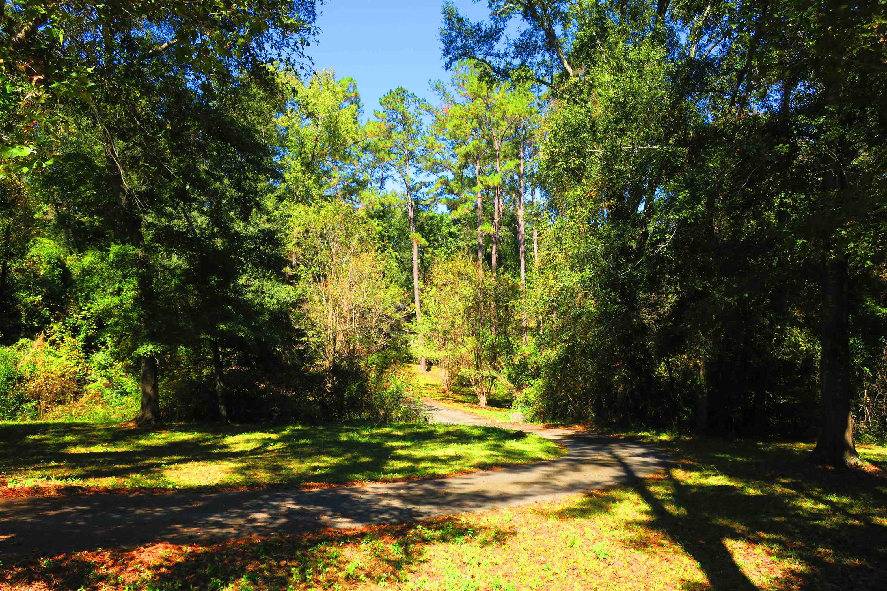 177 Highland Road Havana, FL 32333 - Photo 6 of 36 Gallery Image 6