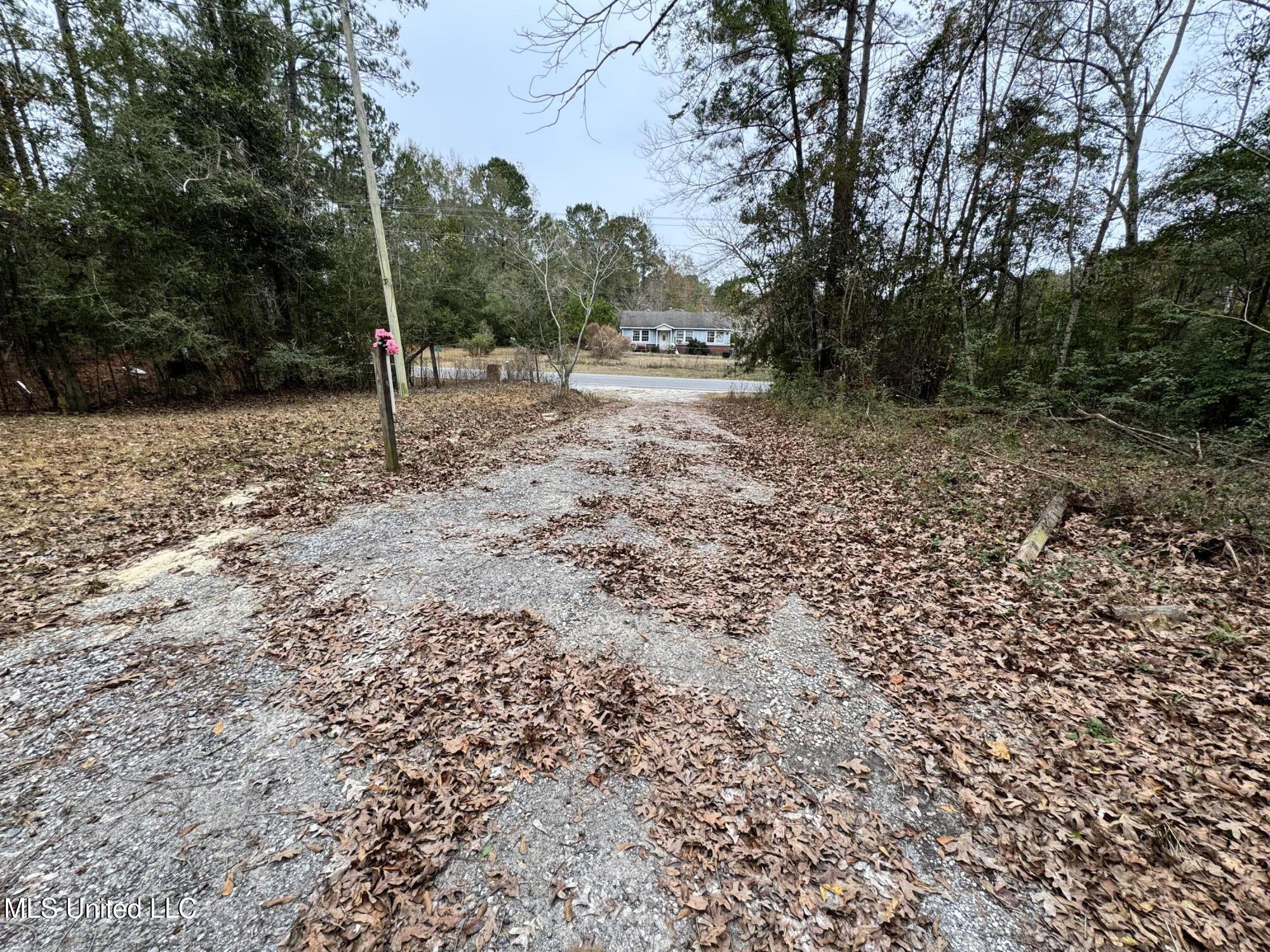 21562 Saucier Lizana Road Saucier, MS 39574 - Photo 17 of 20 Driveway