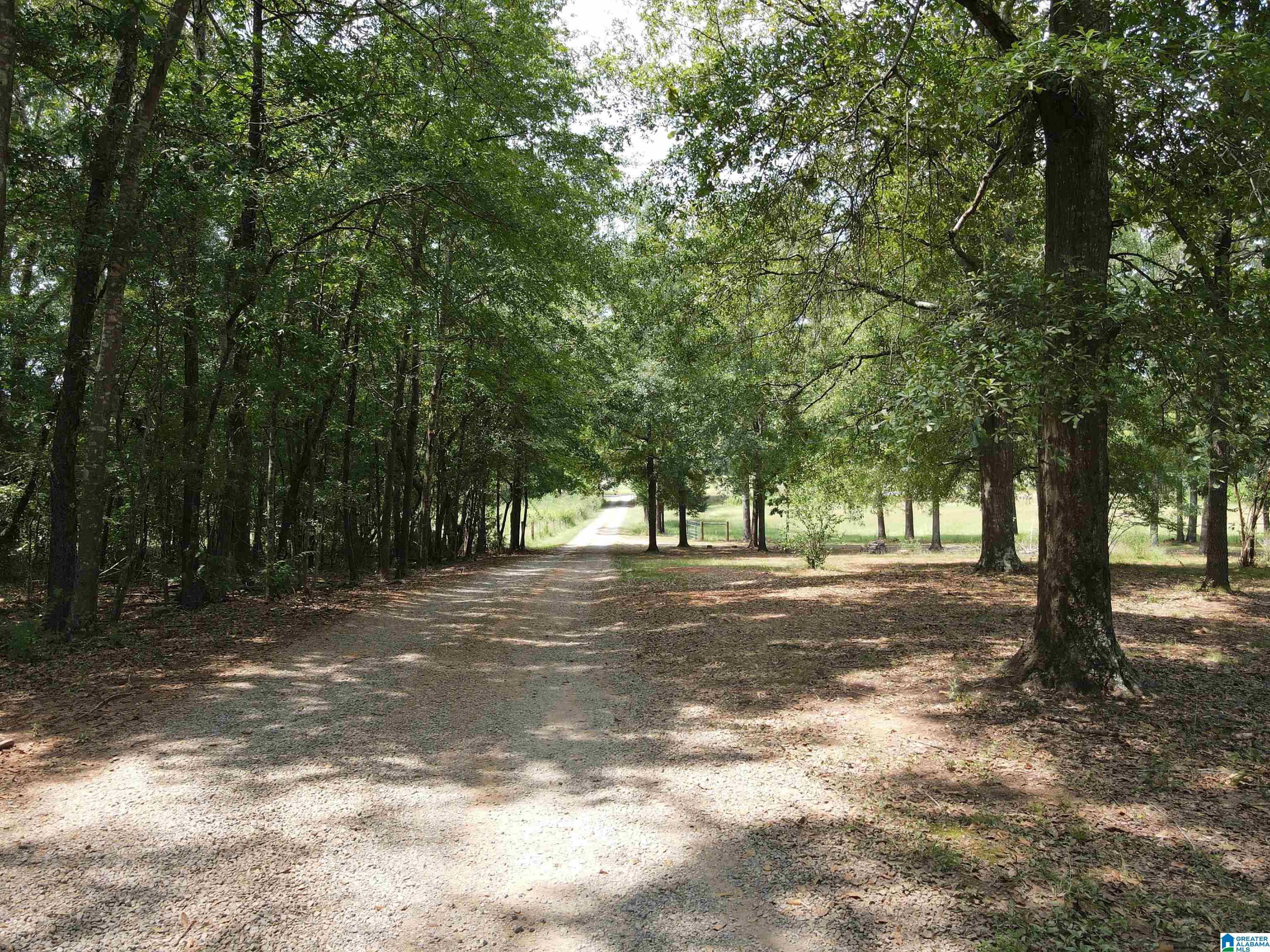 744 Bob White Road Talladega, AL 35160 - Photo 65 of 72 Gallery Image 65