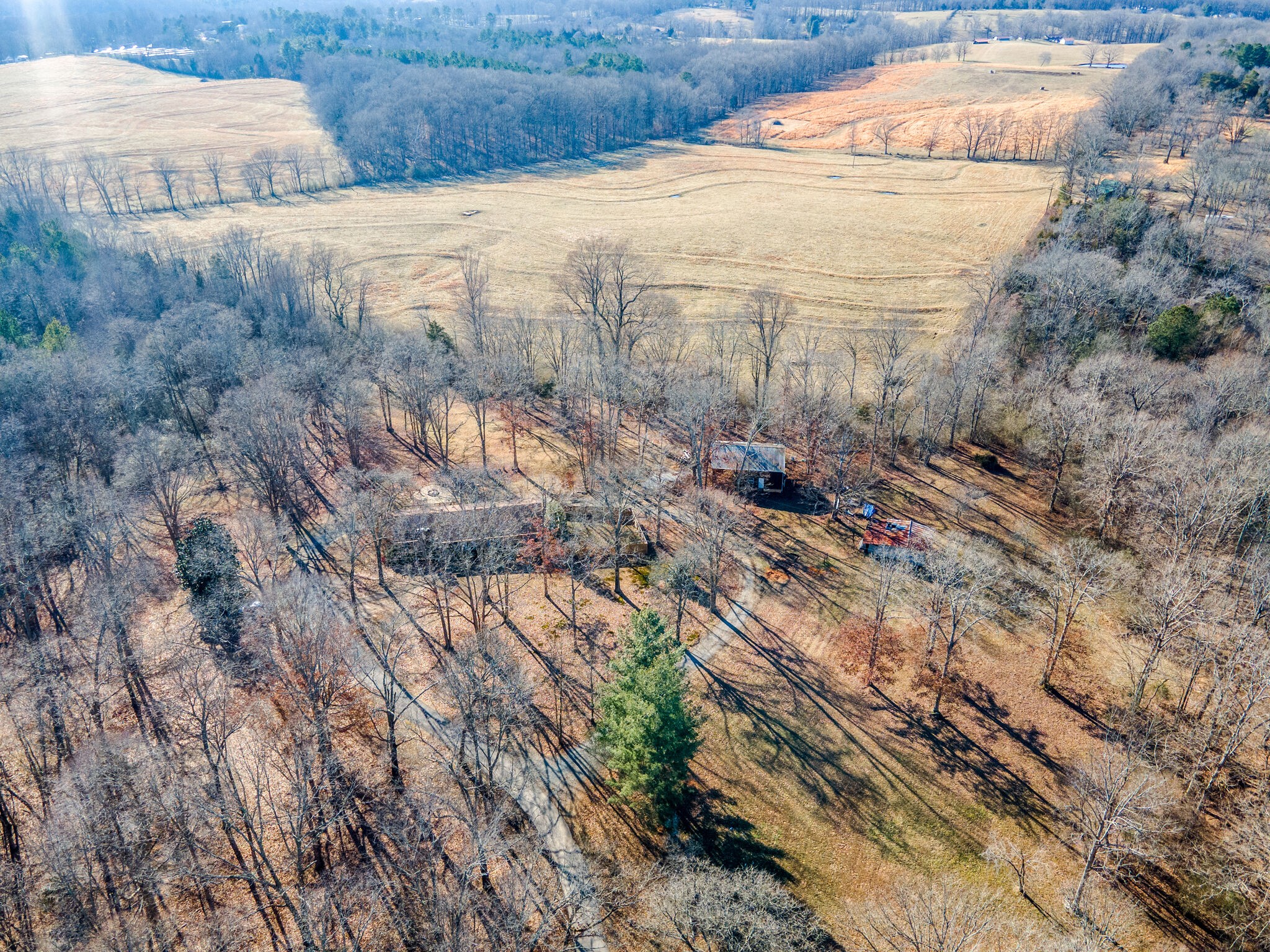 7325 Overby Road Fairview, TN 37062 - Photo 1 of 49 a backyard of a house
