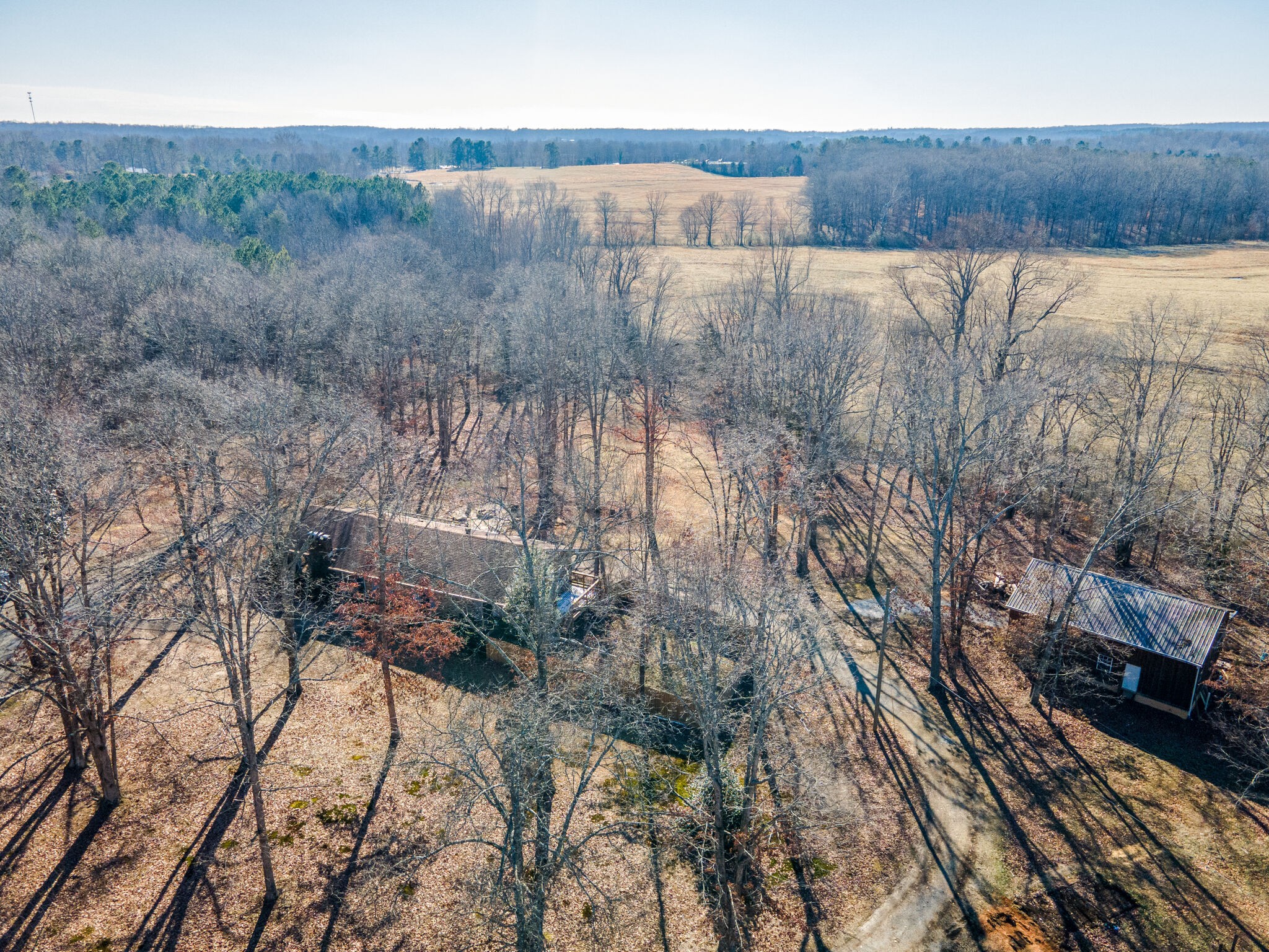 7325 Overby Road Fairview, TN 37062 - Photo 3 of 49 a view of a forest