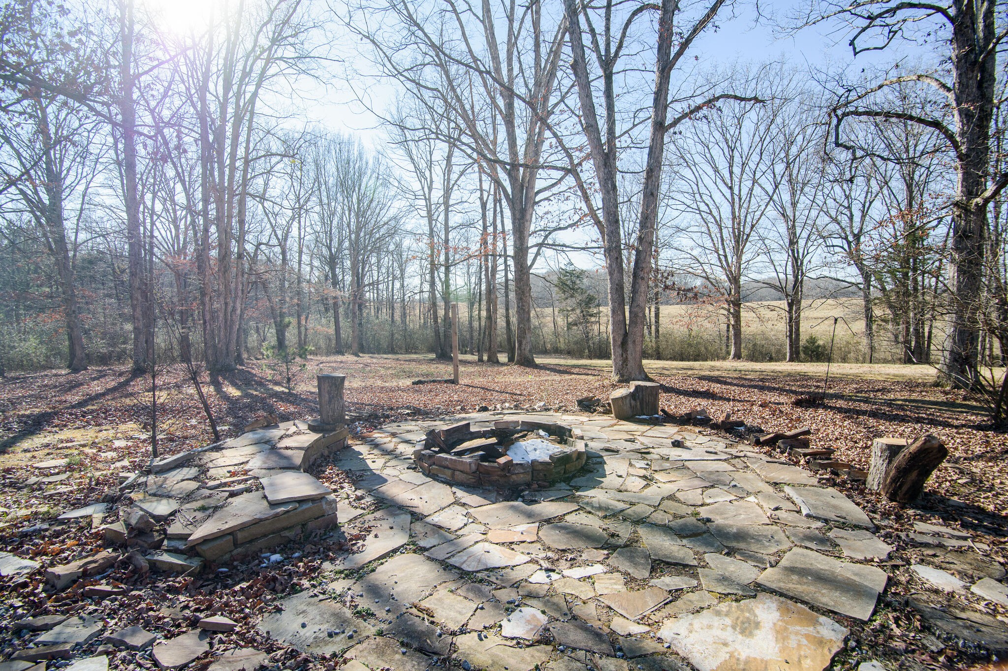 7325 Overby Road Fairview, TN 37062 - Photo 35 of 49 a row of trees and bushes