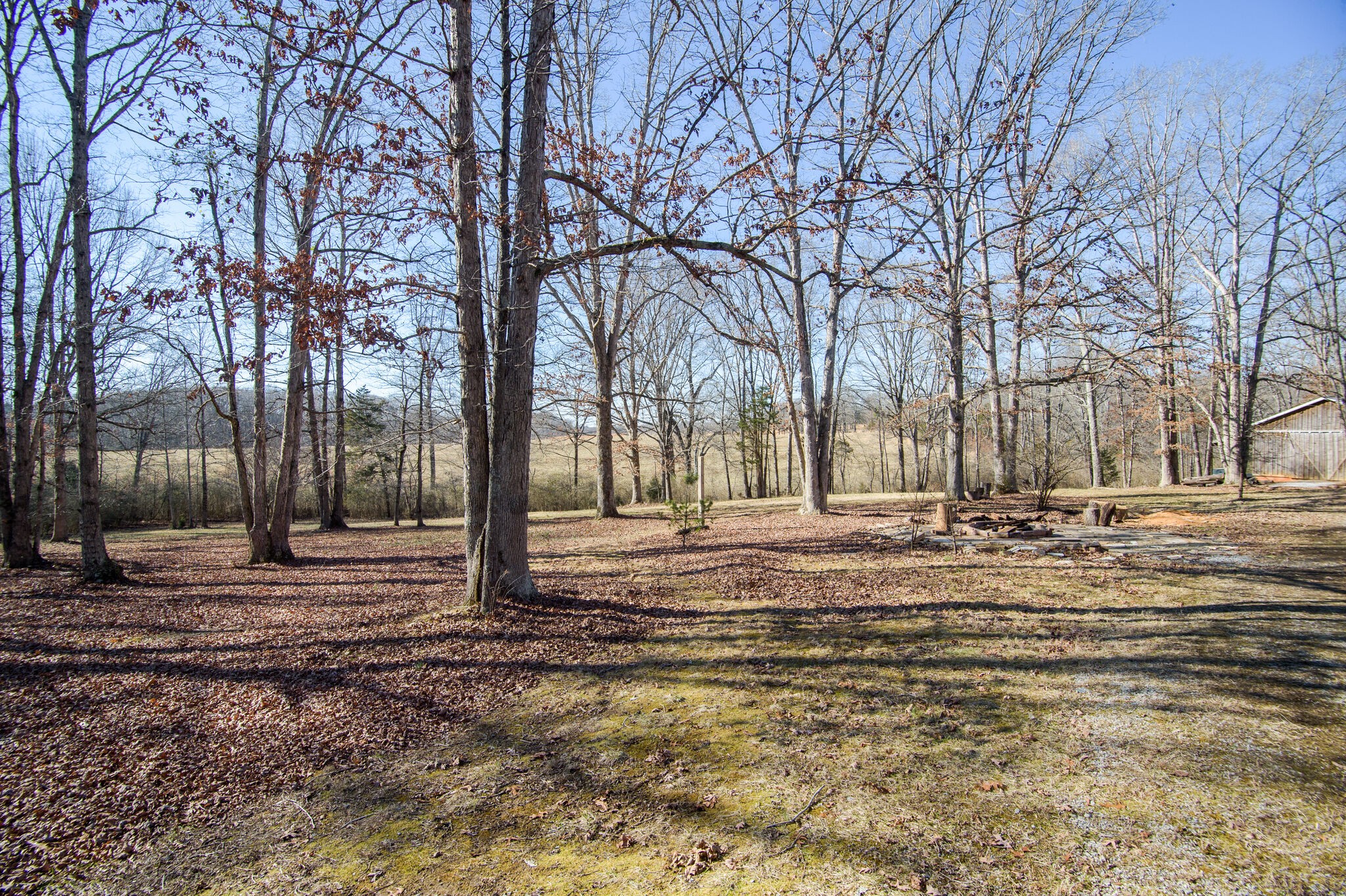 7325 Overby Road Fairview, TN 37062 - Photo 36 of 49 a view of road with trees
