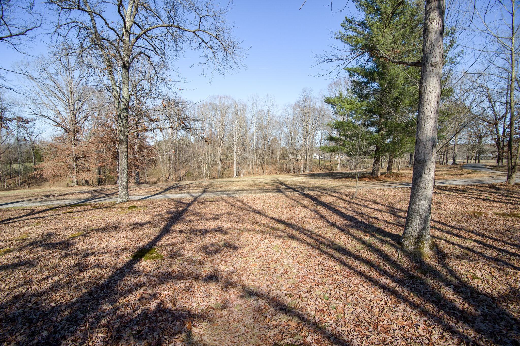 7325 Overby Road Fairview, TN 37062 - Photo 38 of 49 a view of a yard with wooden fence