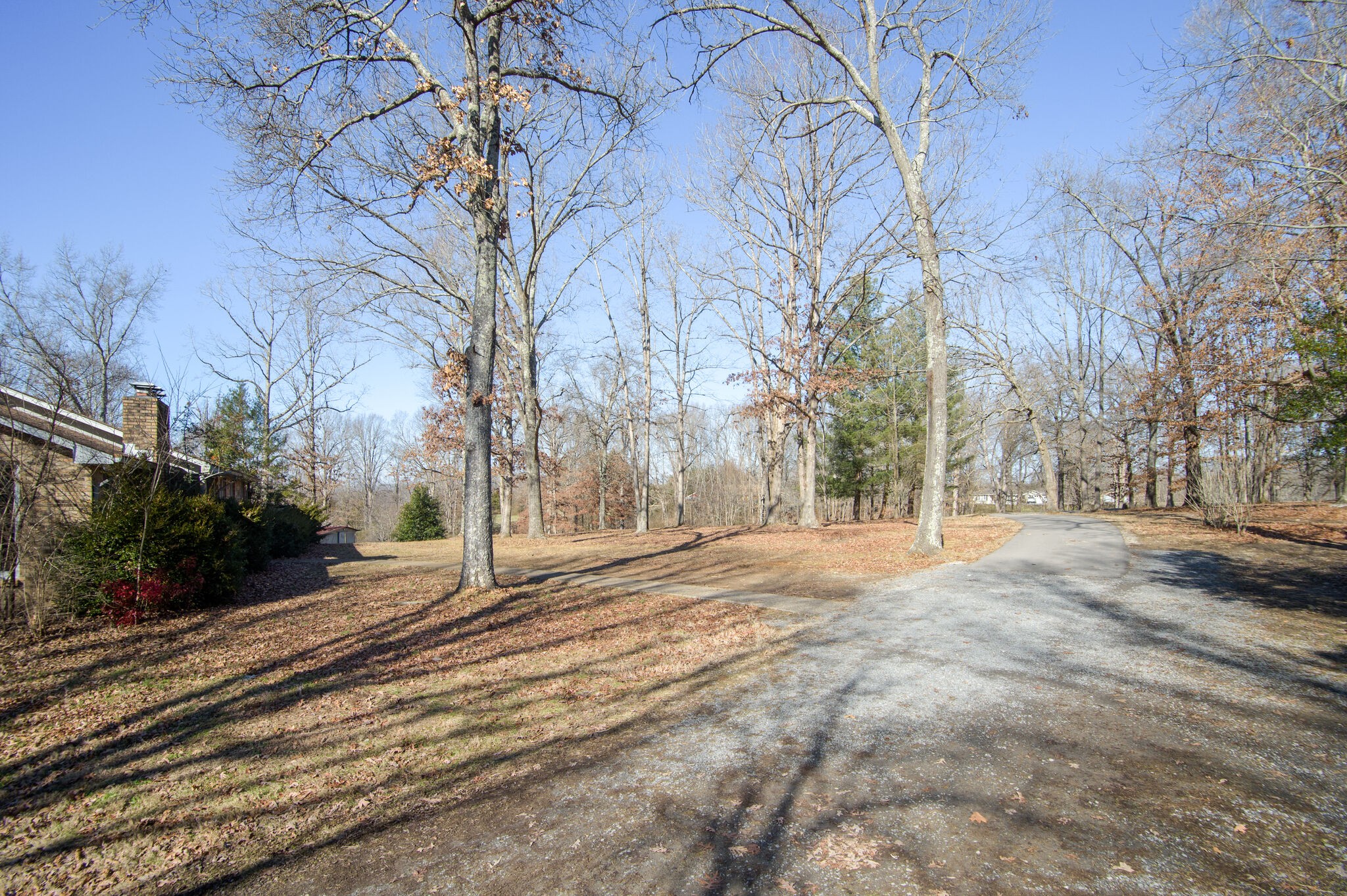 7325 Overby Road Fairview, TN 37062 - Photo 39 of 49 a backyard of a house