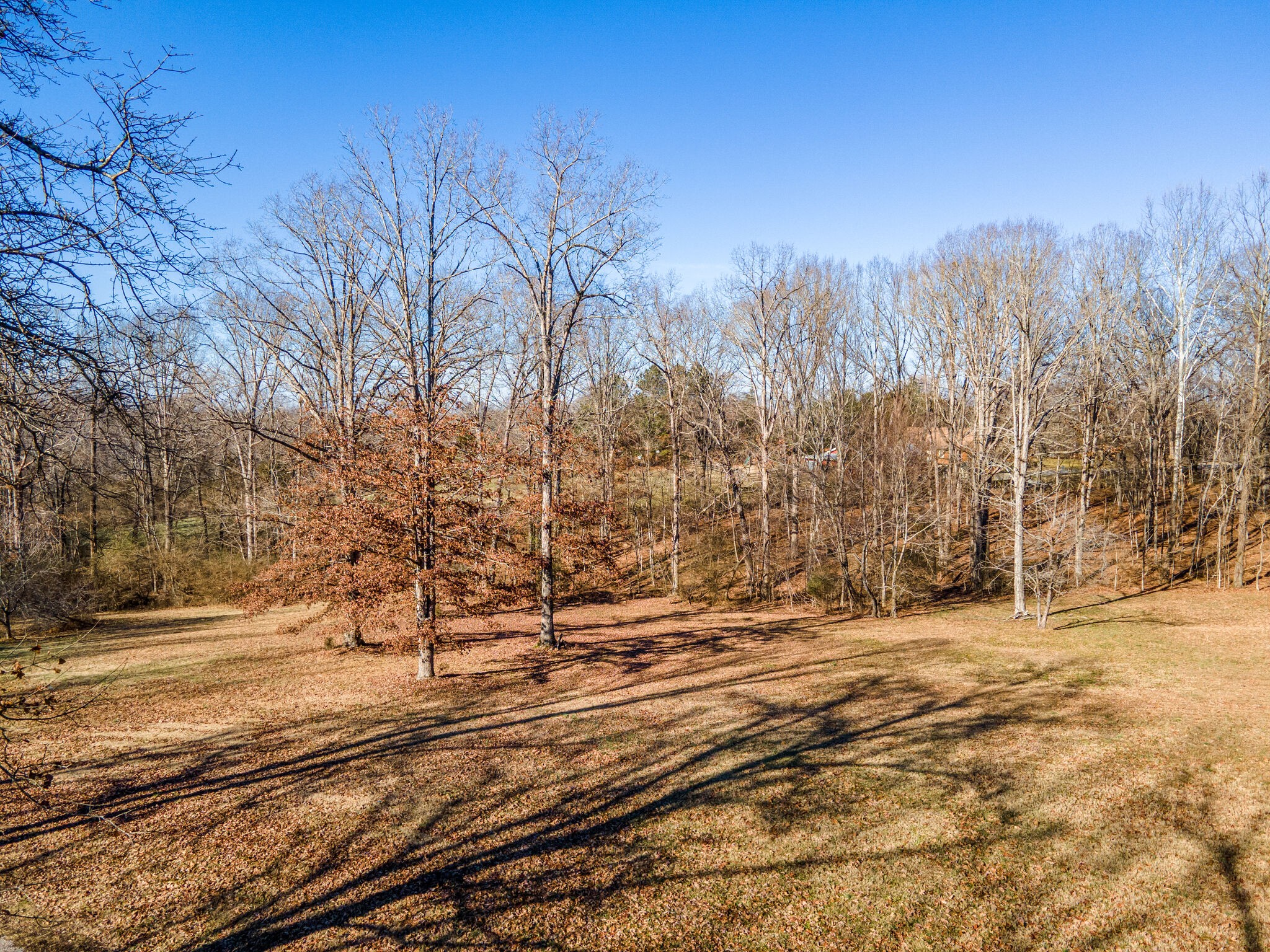 7325 Overby Road Fairview, TN 37062 - Photo 47 of 49 a view of a yard with trees in the background