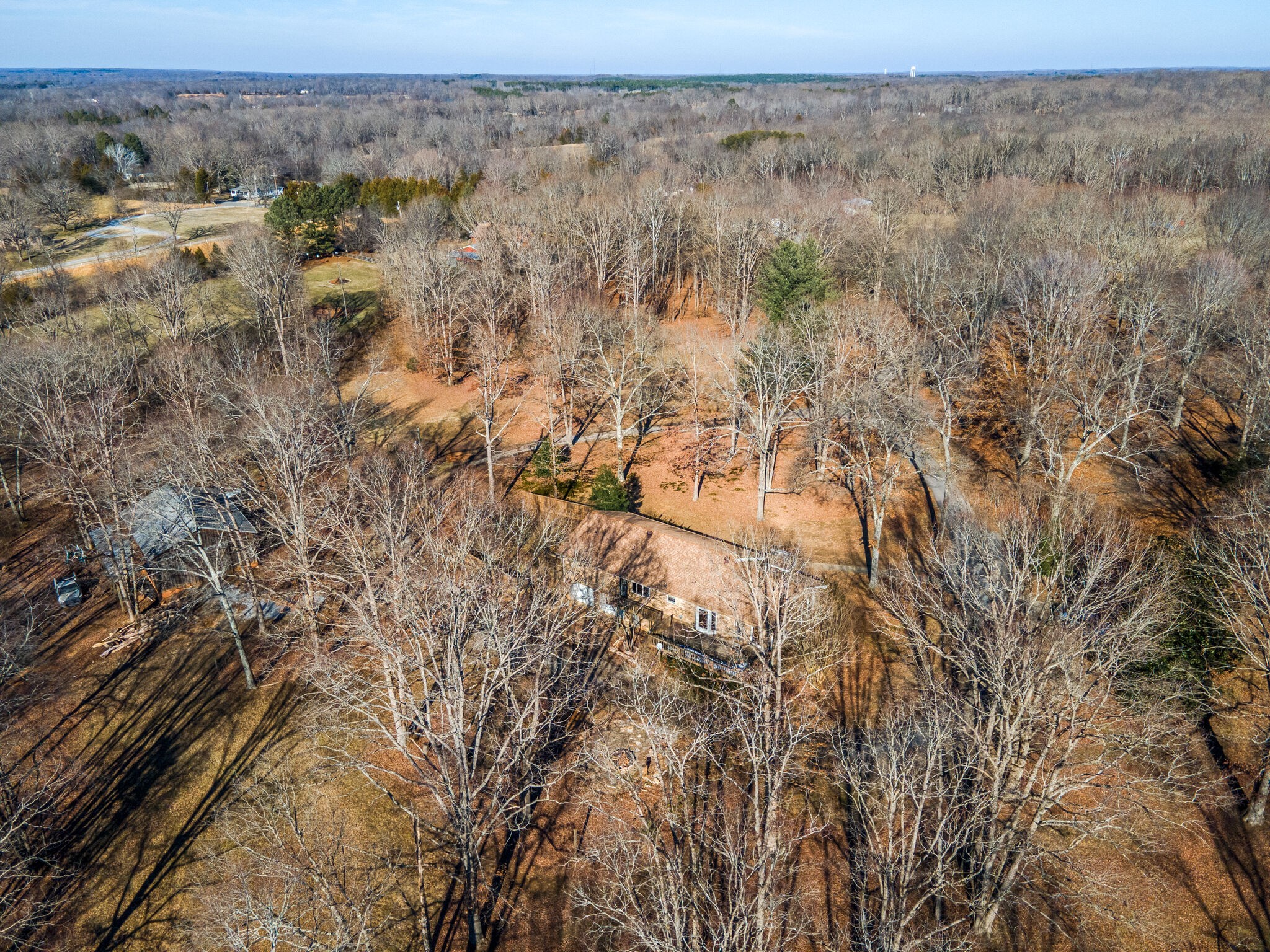7325 Overby Road Fairview, TN 37062 - Photo 49 of 49 a view of a dry yard with trees