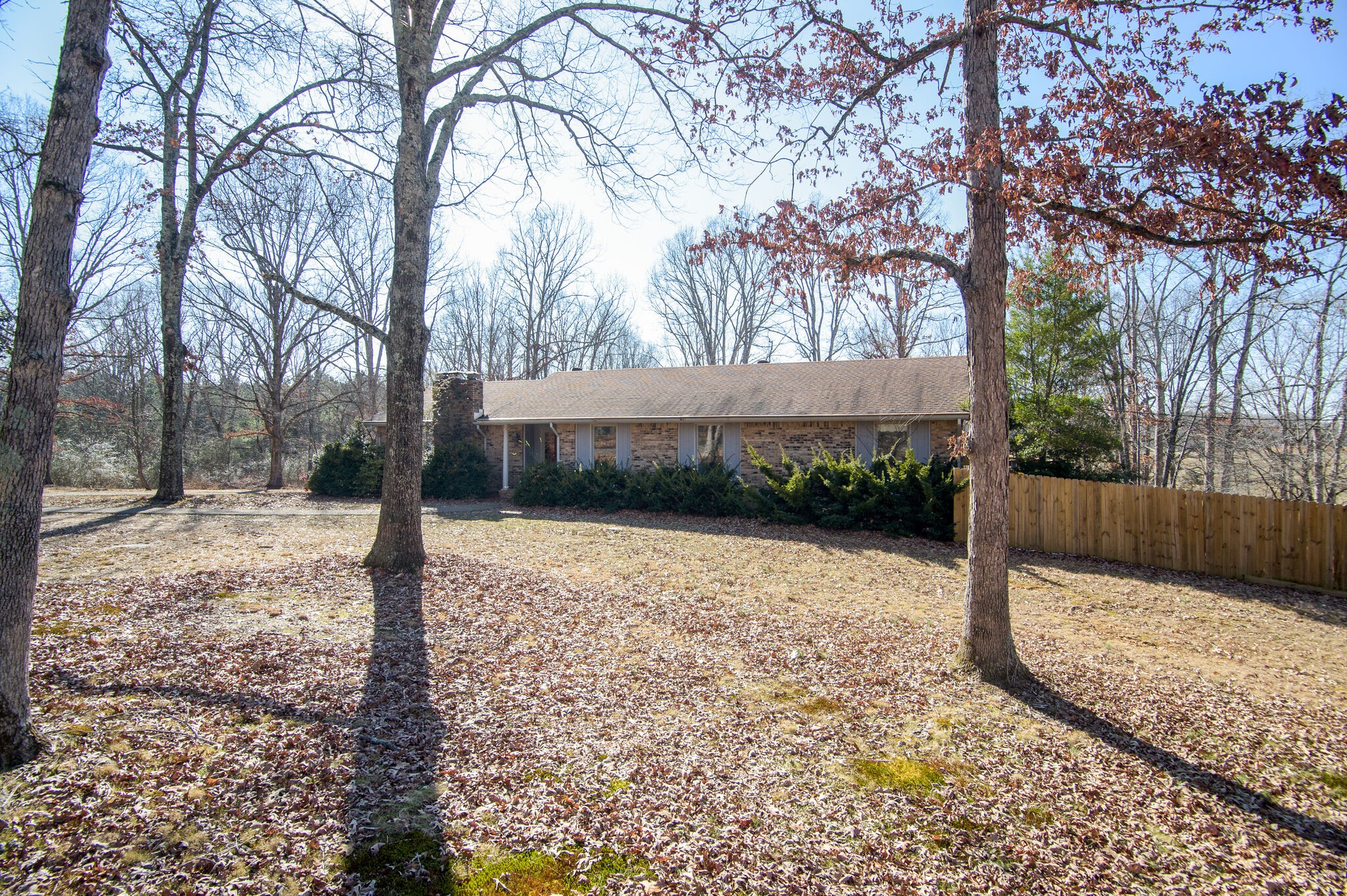 7325 Overby Road Fairview, TN 37062 - Photo 6 of 49 a view of a backyard